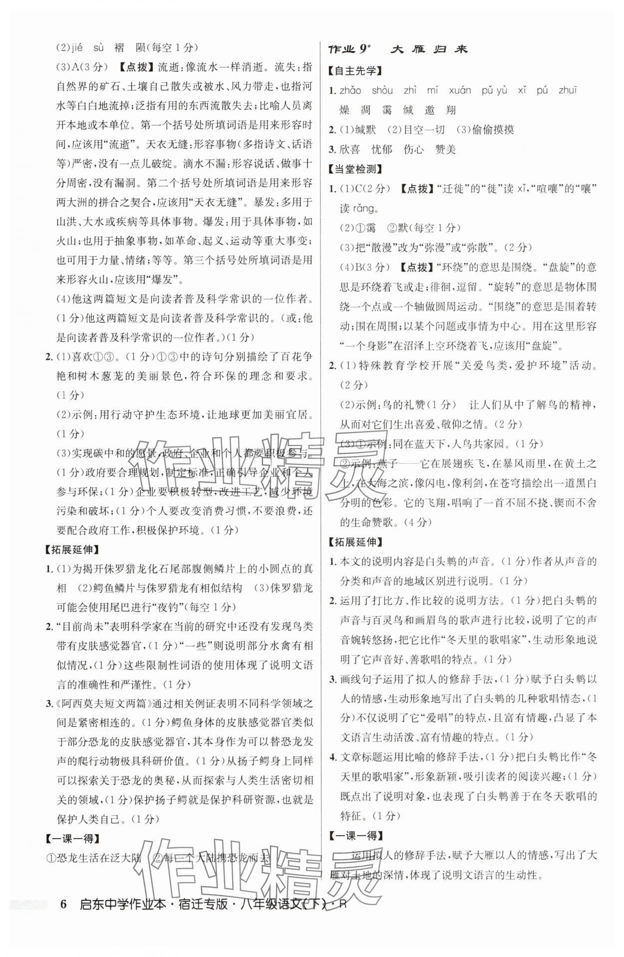 2025年启东中学作业本八年级语文下册人教版宿迁专版 第6页