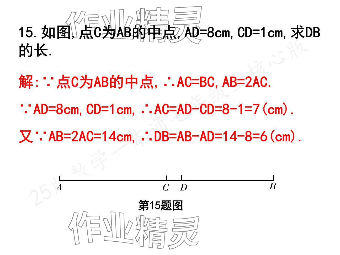 2024年一本通武漢出版社七年級(jí)數(shù)學(xué)上冊(cè)北師大版核心板 參考答案第24頁(yè)