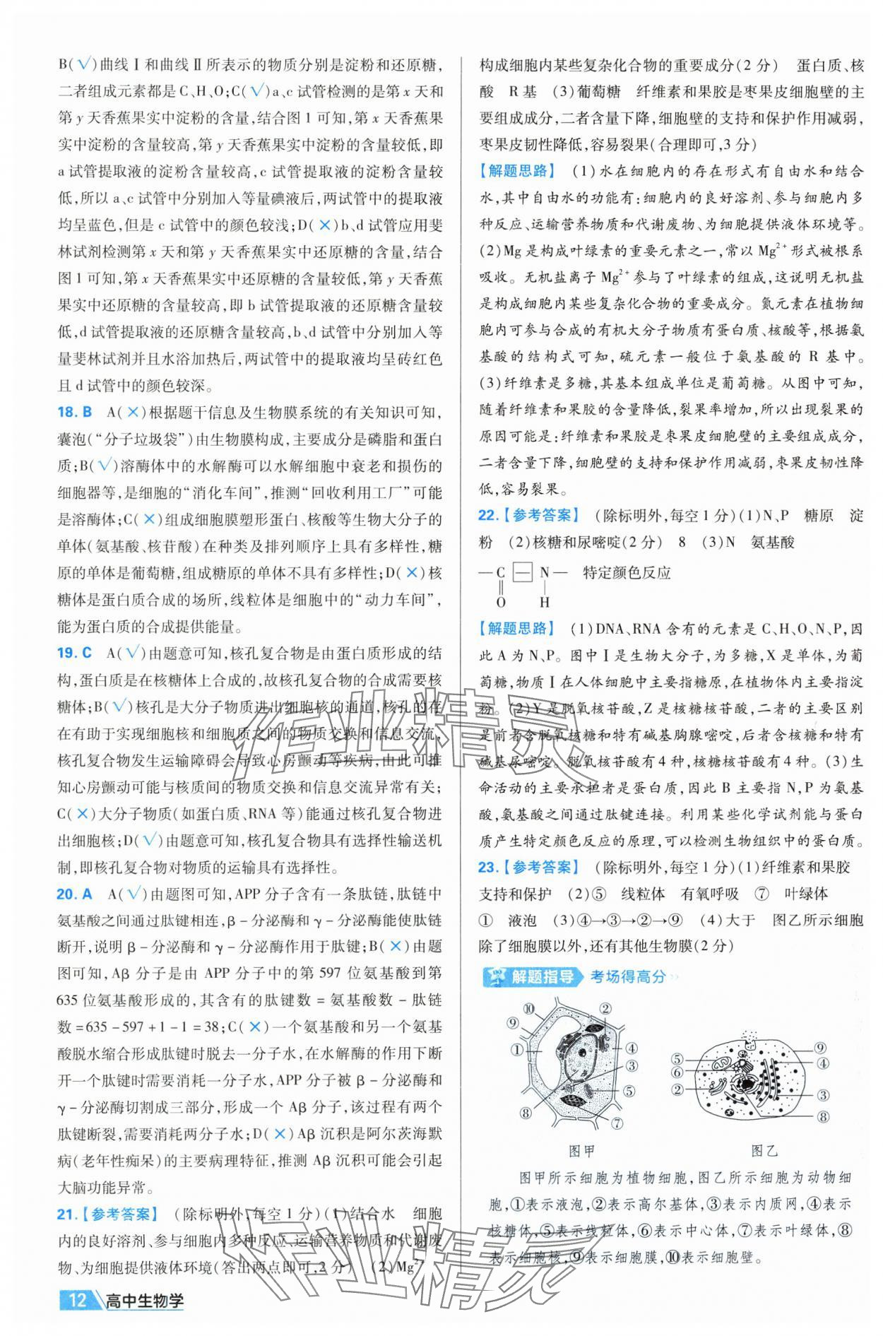 2025年金考卷名師名題單元雙測卷高中生物必修1人教版 第12頁