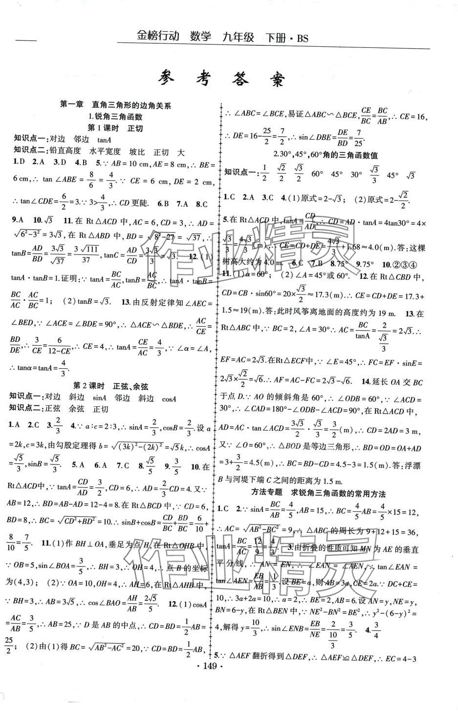 2024年金榜行动九年级数学下册北师大版 第1页