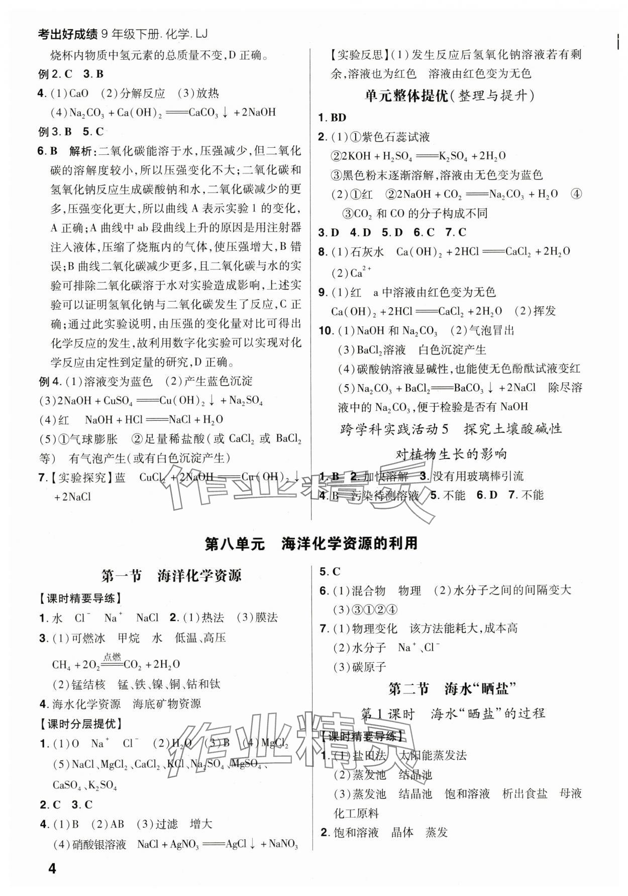 2025年考出好成績九年級化學下冊魯教版山東專版 第4頁