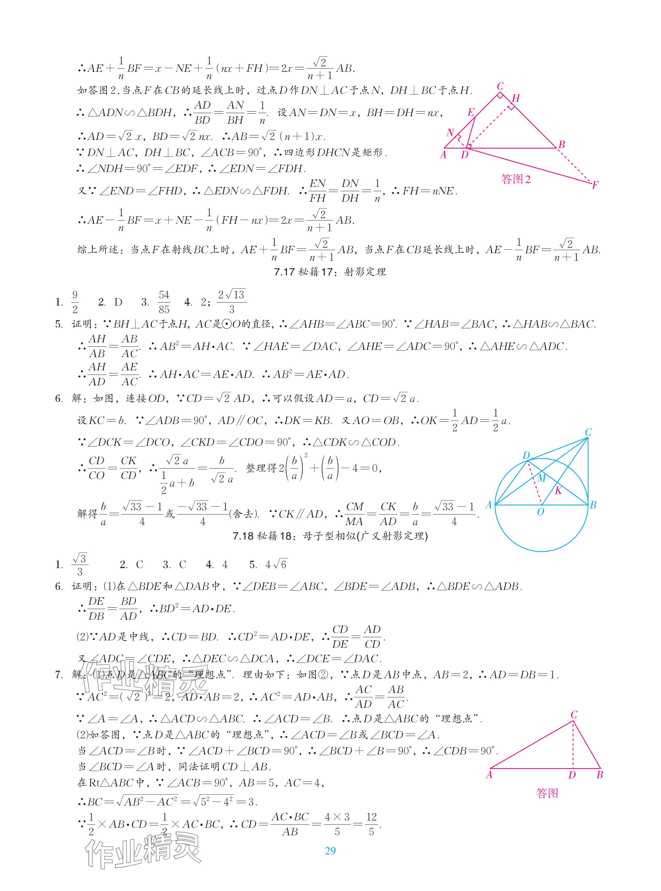 2024年中考复习一本全数学北师大版深圳专版&nbsp;参考答案第29页