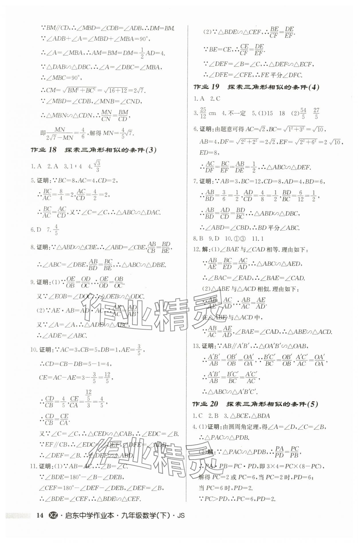 2024年启东中学作业本九年级数学下册苏科版徐州专版 第14页