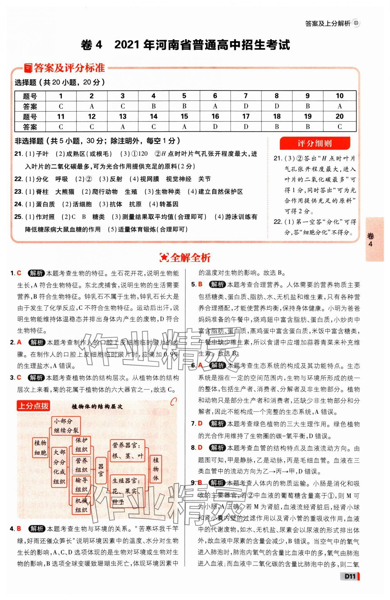 2025年中考必刷卷开明出版社生物河南专版&nbsp;参考答案第10页