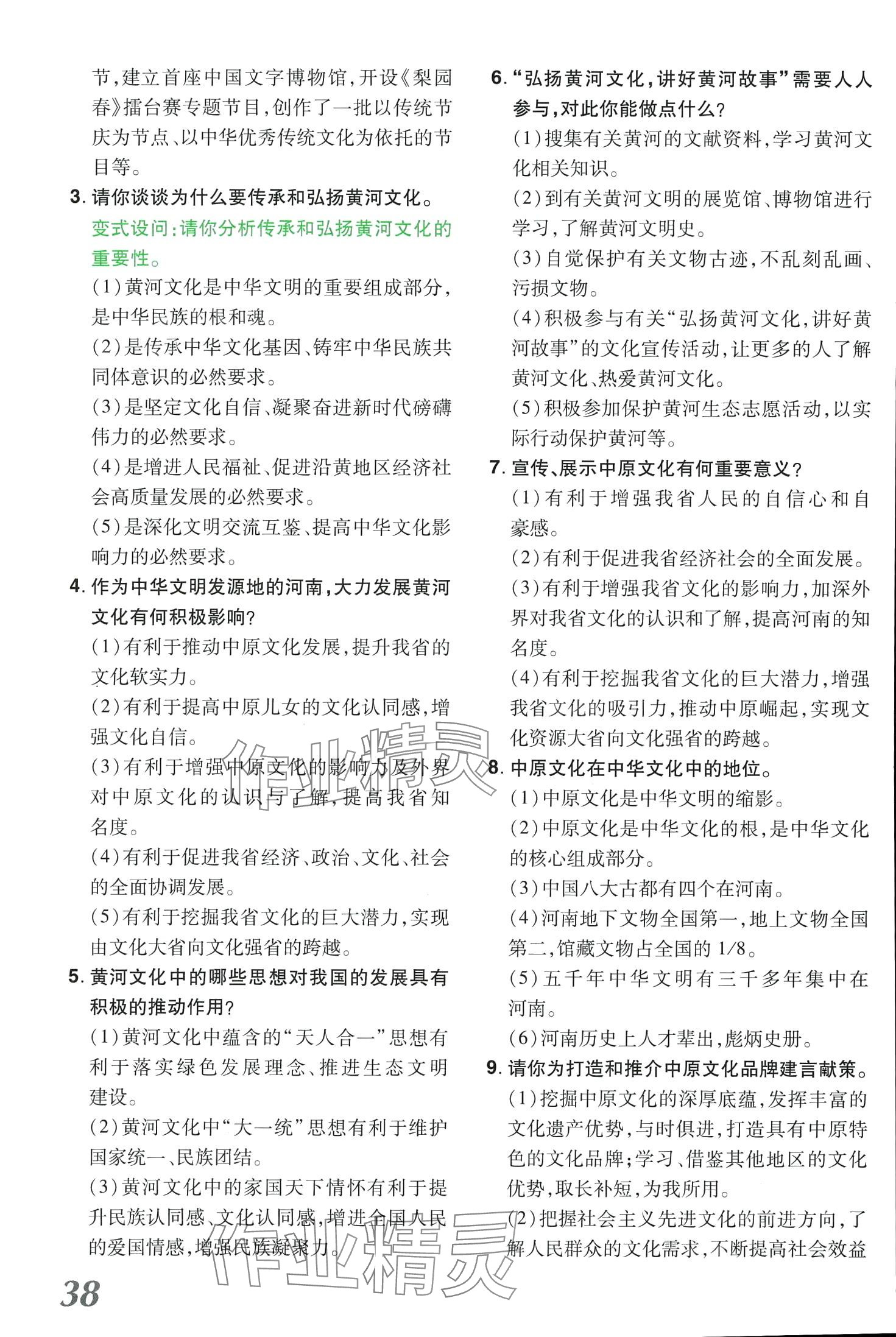 2024年領(lǐng)揚(yáng)文化中考研究道德與法治河南專(zhuān)版 第38頁(yè)