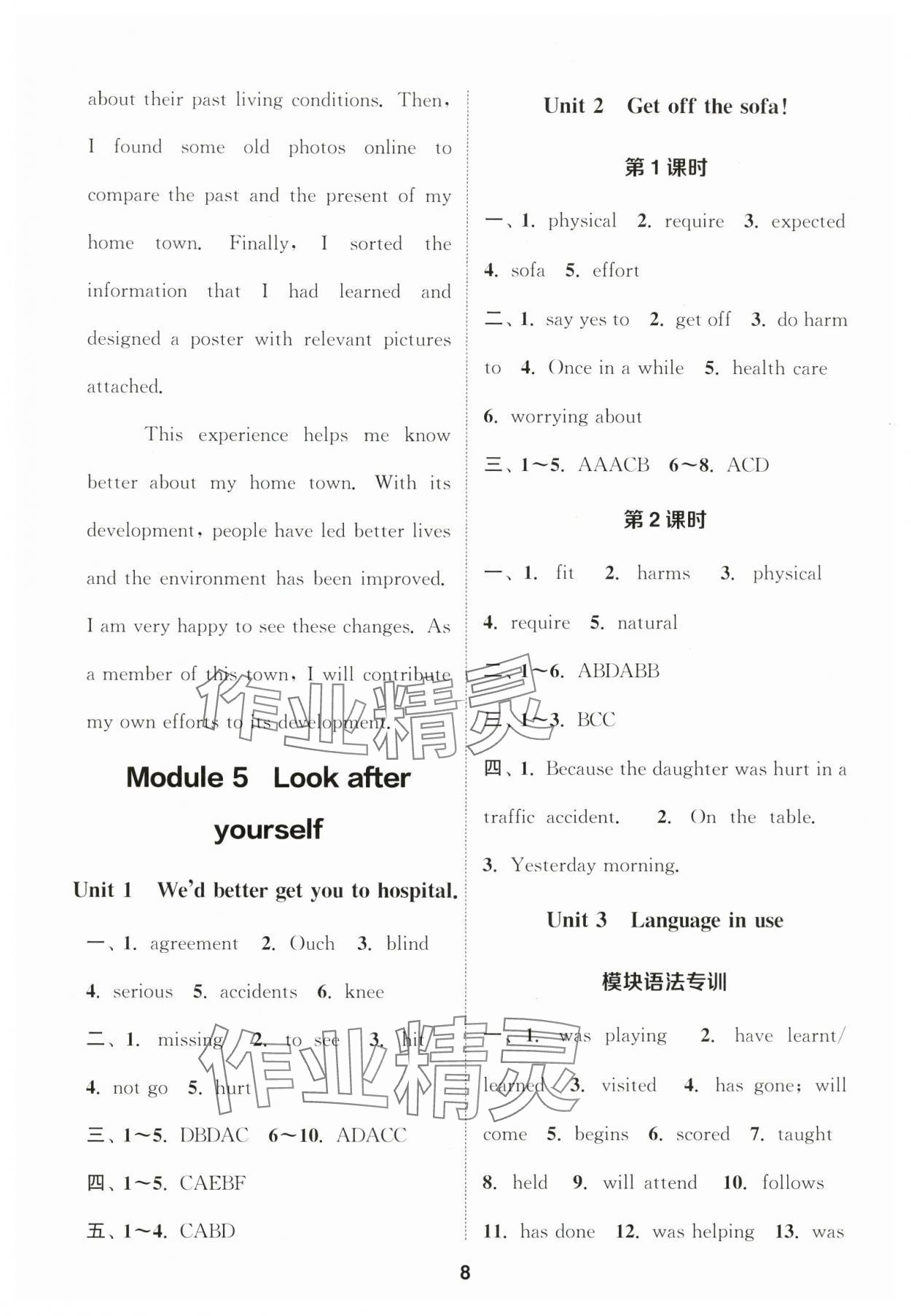 2025年通成學(xué)典課時作業(yè)本九年級英語下冊外研版合肥專版&nbsp;第8頁