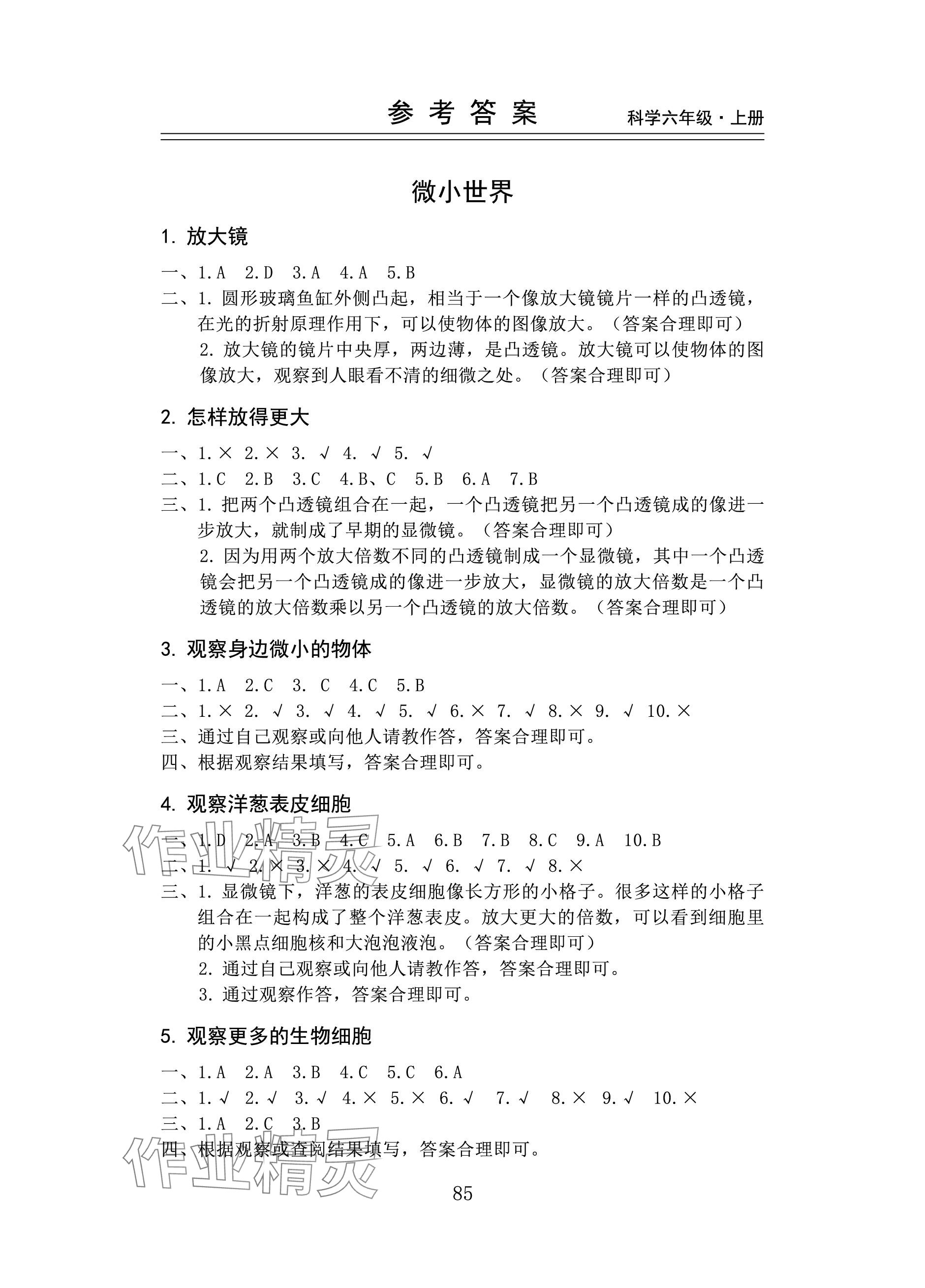 2023年新思維伴你學(xué)六年級(jí)科學(xué)上冊(cè)教科版 參考答案第1頁(yè)