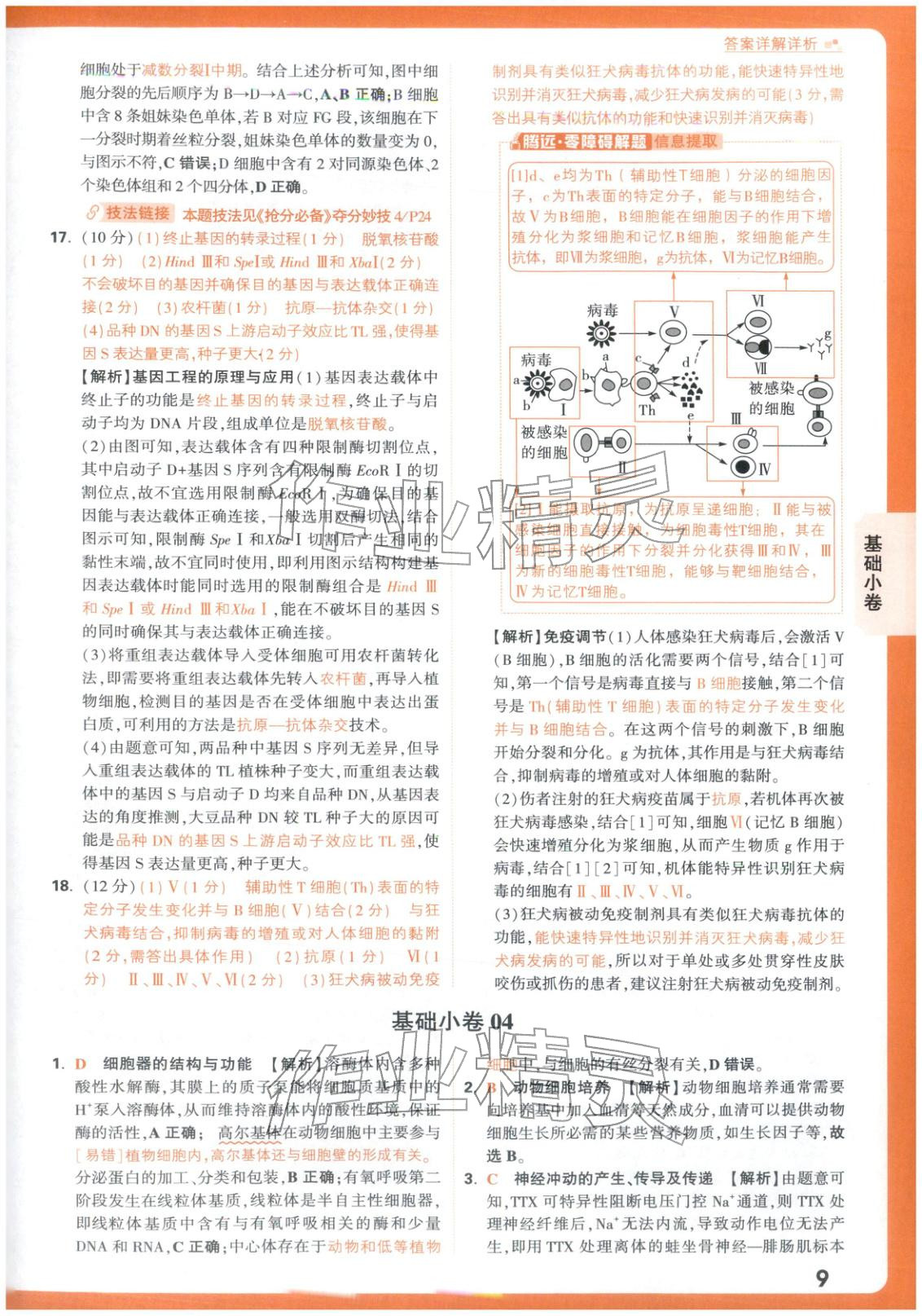 2026年腾远高考基础卷生物 第9页