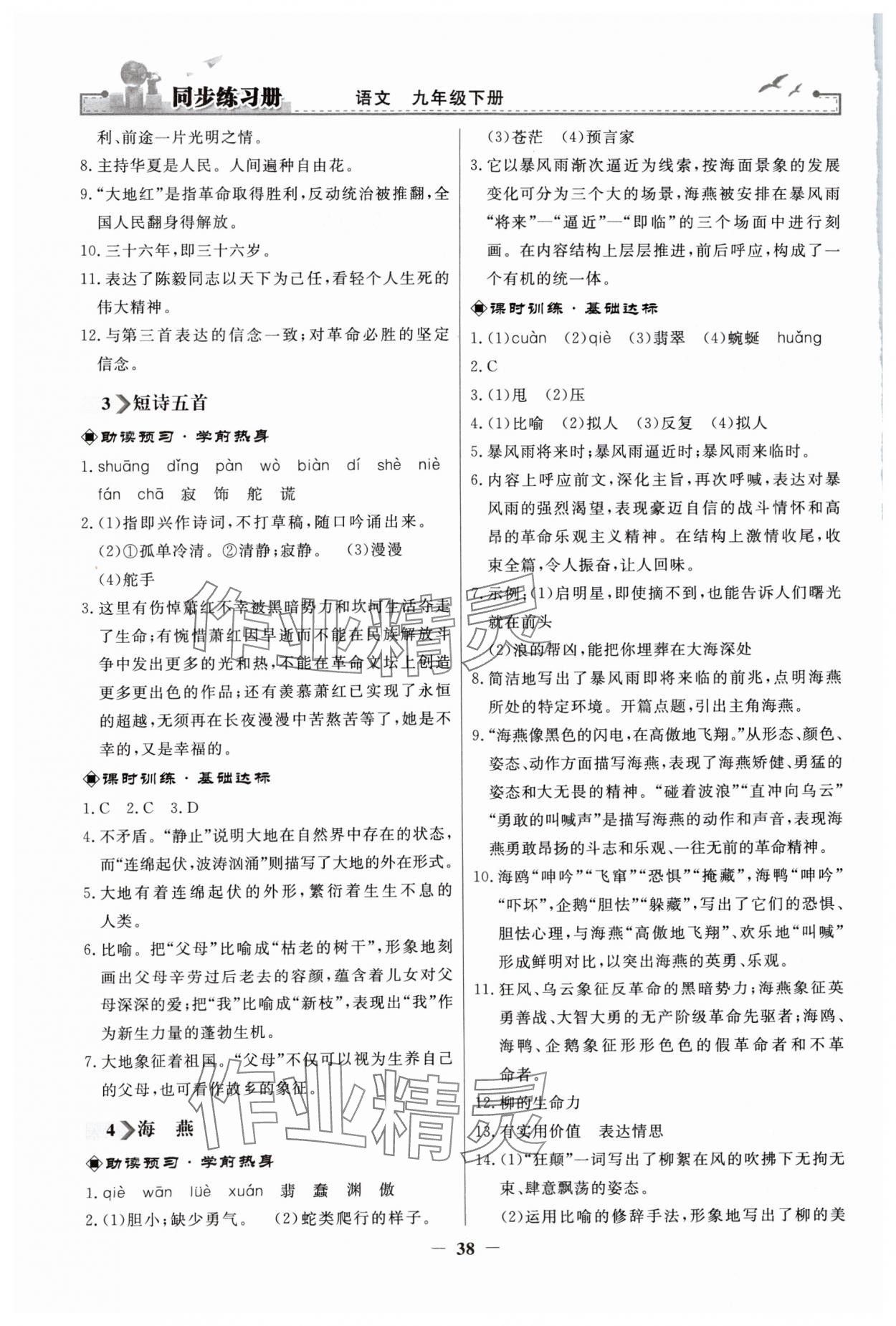 2024年同步练习册人民教育出版社九年级语文下册人教版江苏专版 第2页