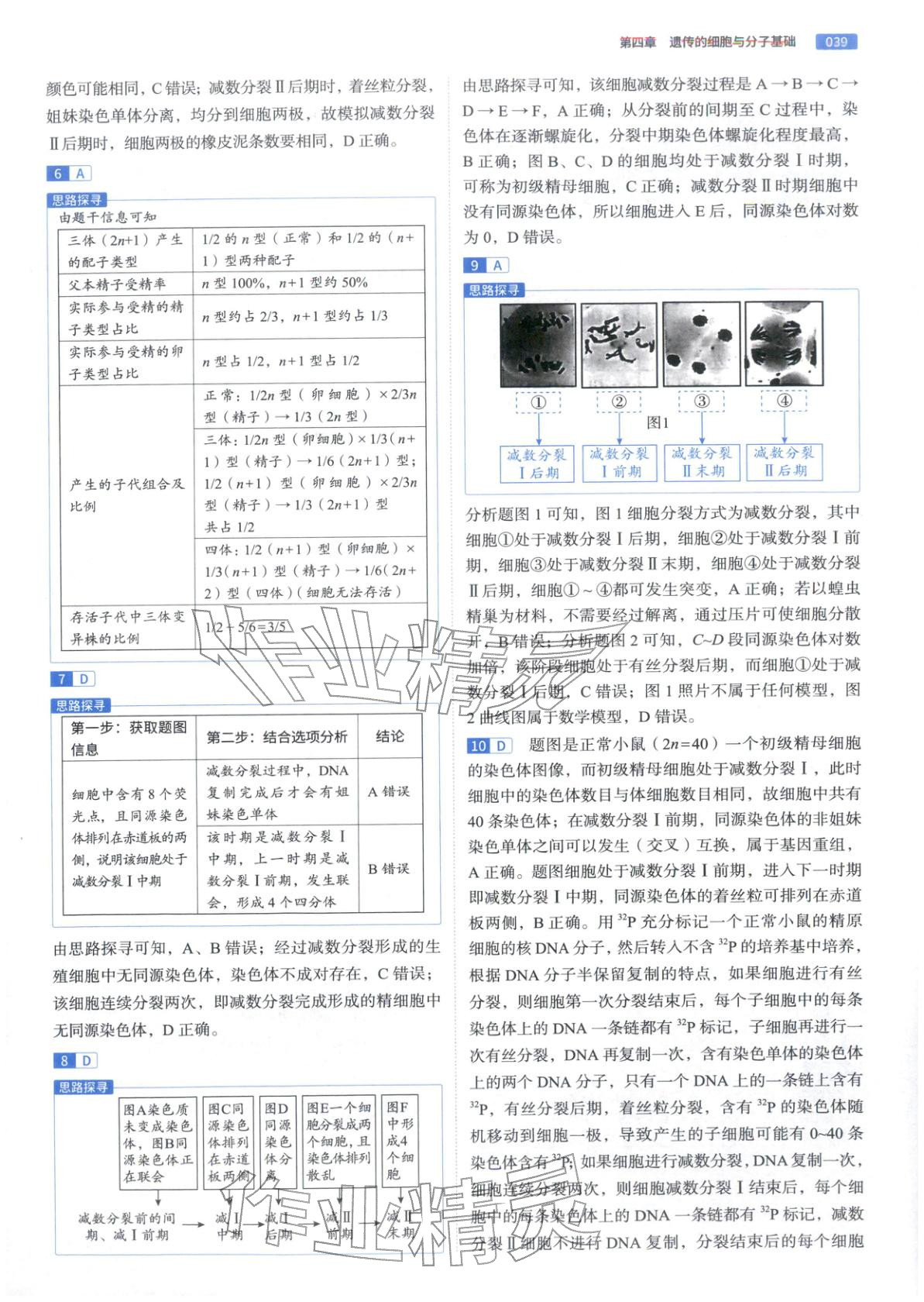 2026年高途高考基礎2000題高中生物&nbsp;第39頁