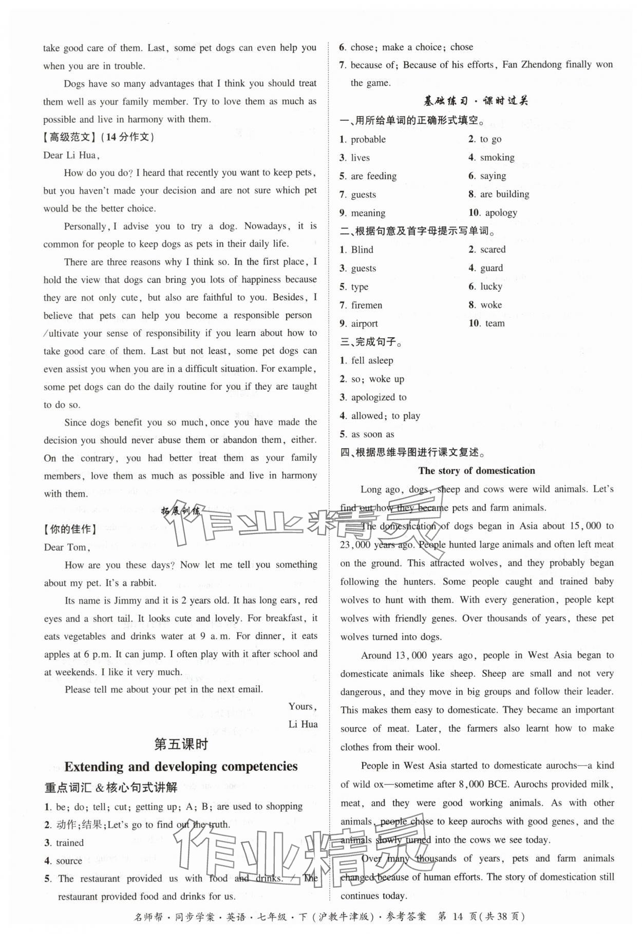 2025年名師幫同步學案七年級英語下冊滬教版廣州專版 參考答案第14頁