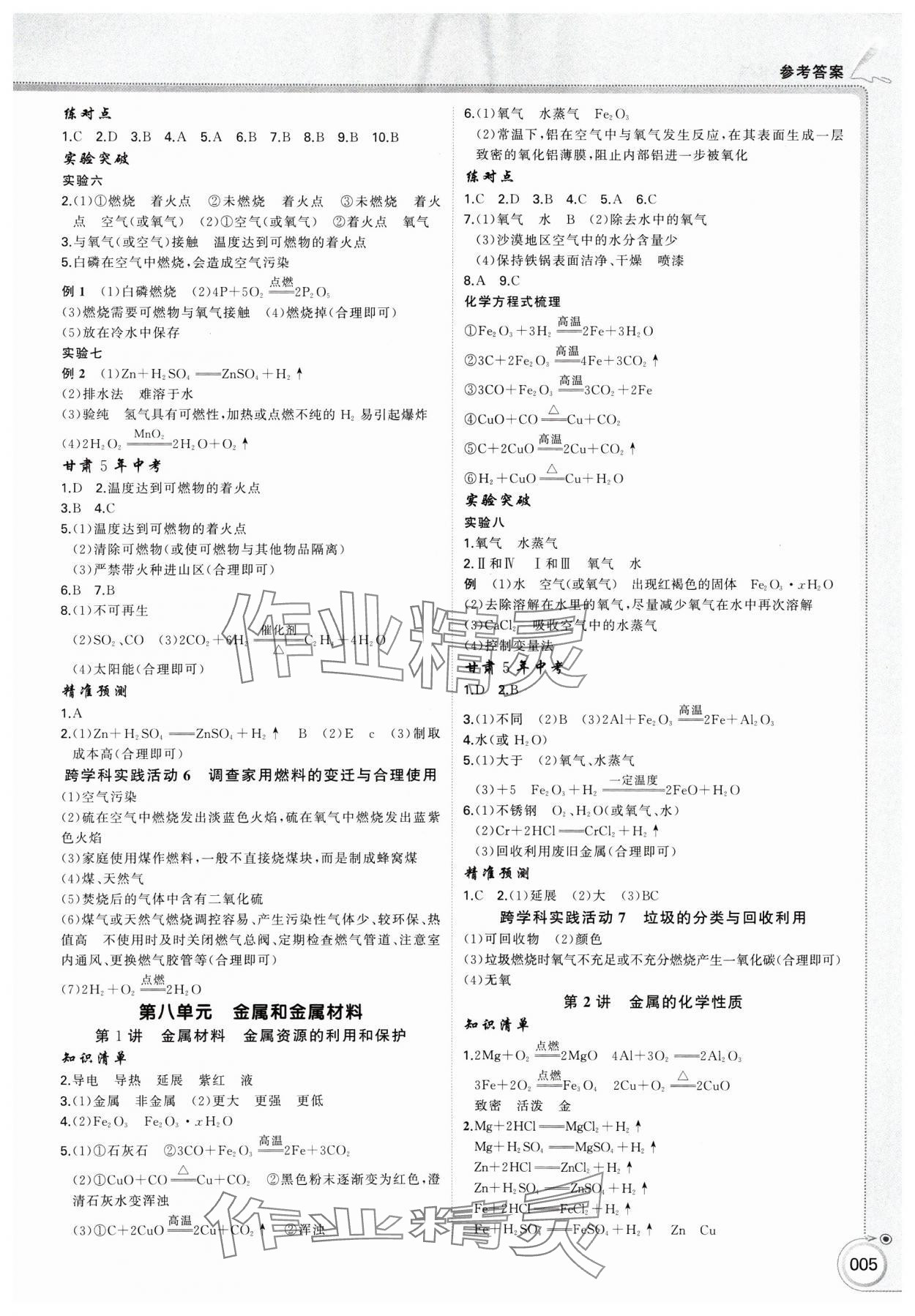 2025年首席中考化学甘肃专版&nbsp;第5页