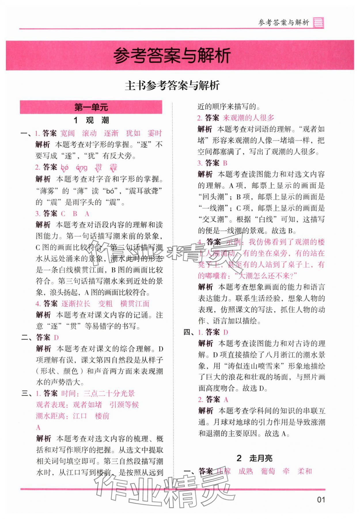 2025年木头马分层课课练四年级语文上册人教版浙江专版 第1页