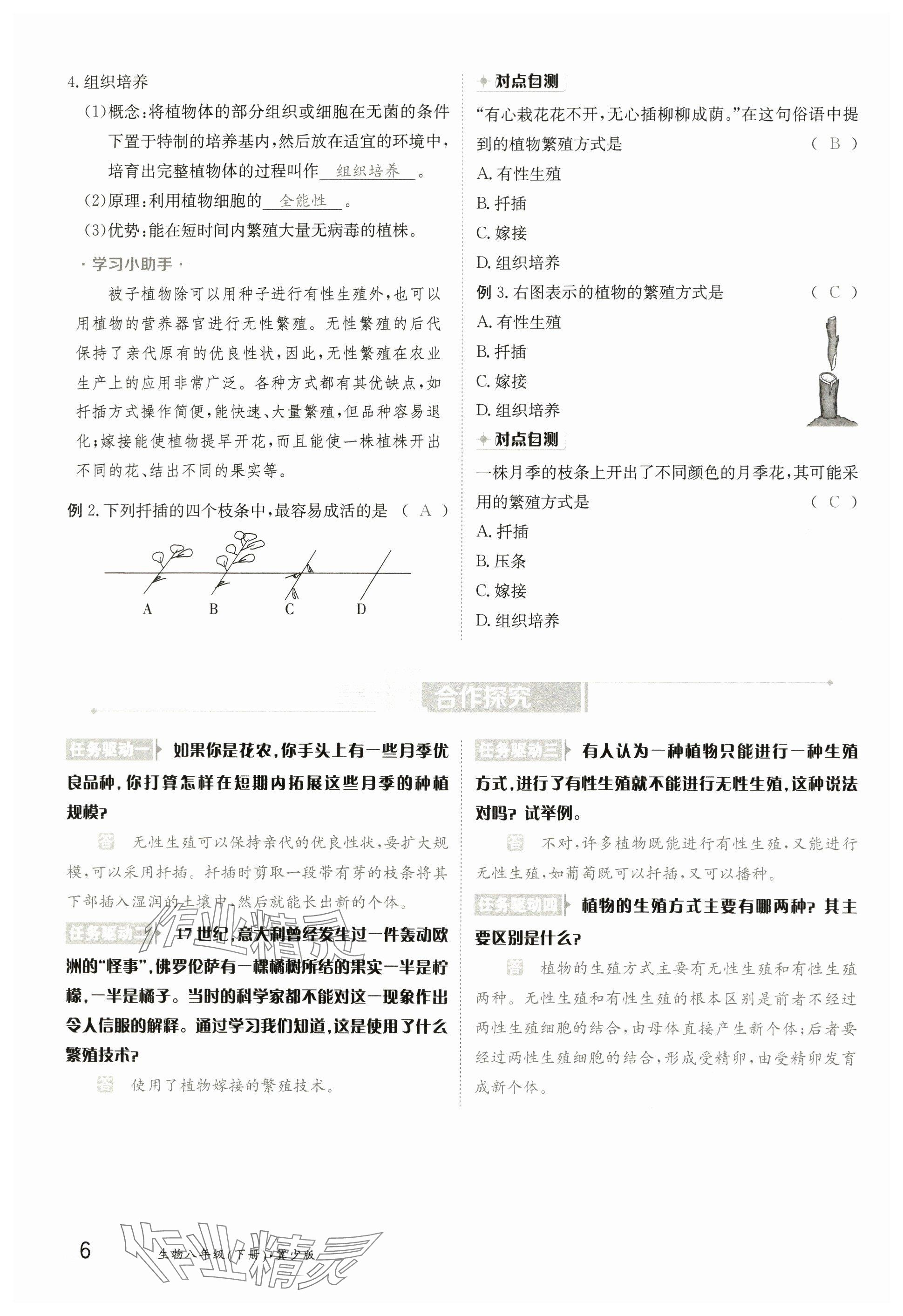 2025年金太陽(yáng)導(dǎo)學(xué)案八年級(jí)生物下冊(cè)冀少版 參考答案第6頁(yè)