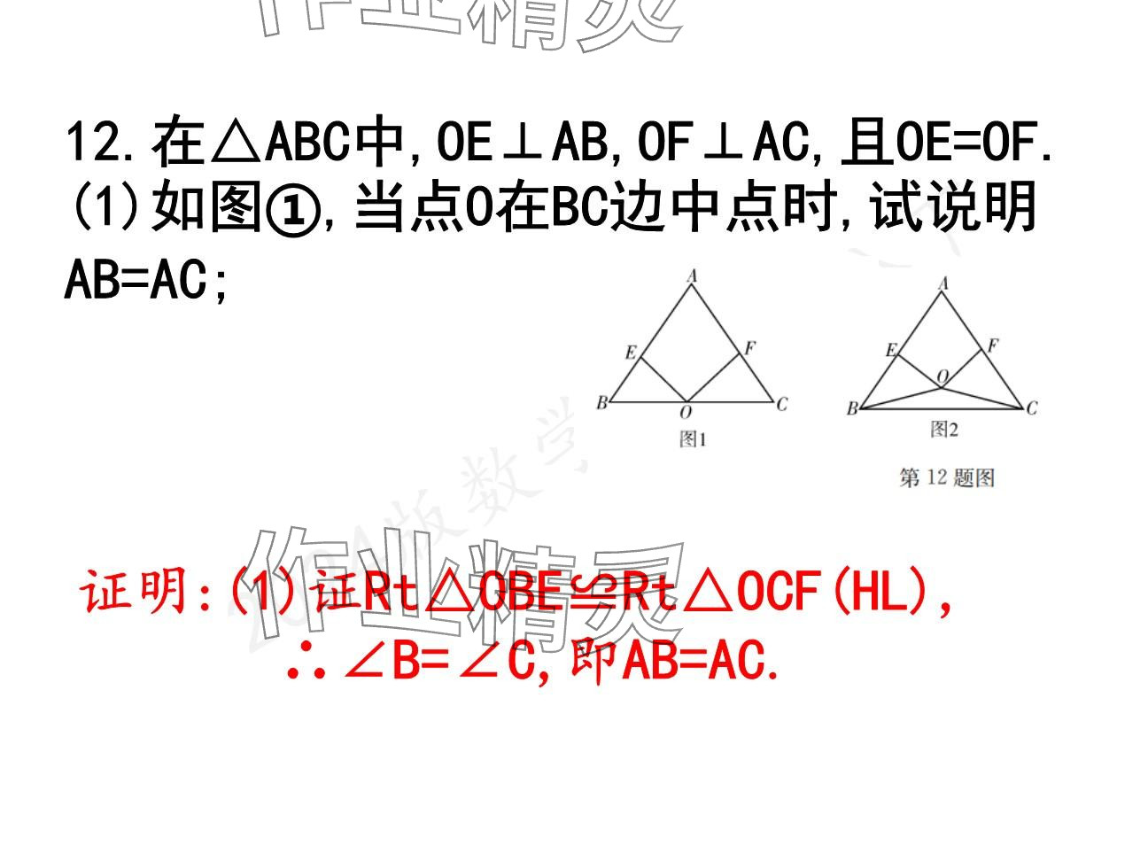 2025年一本通武漢出版社八年級數(shù)學(xué)下冊北師大版精簡版 參考答案第50頁