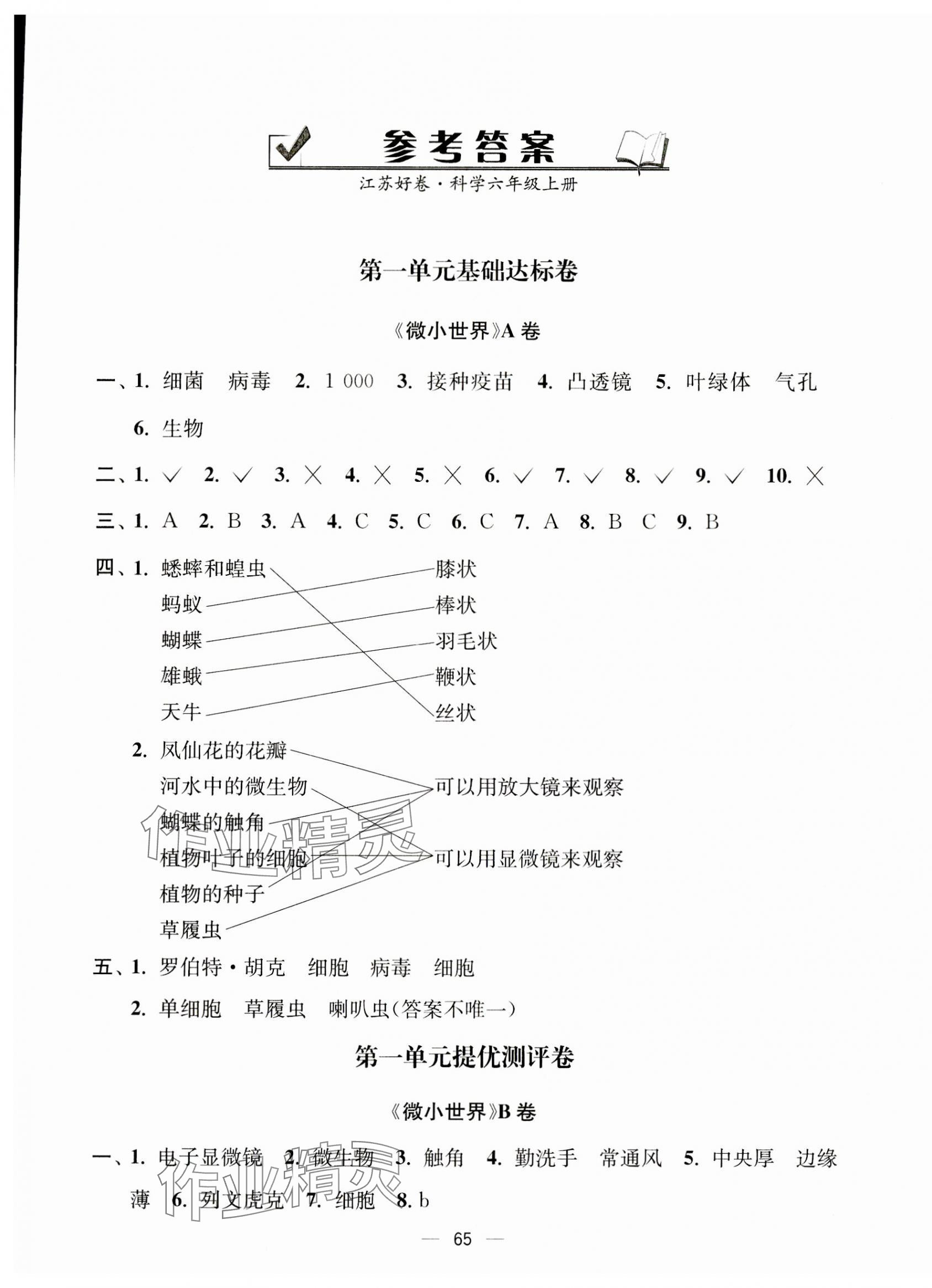 2023年江蘇好卷六年級(jí)科學(xué)上冊(cè)教科版 第1頁