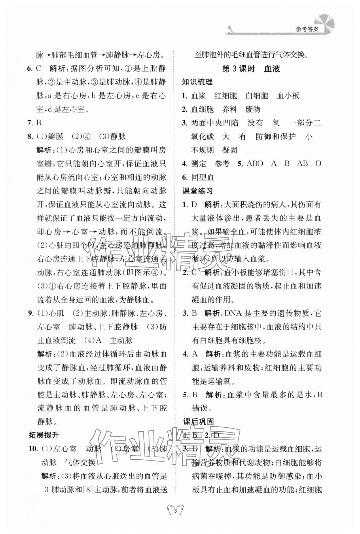 2024年創(chuàng)新課時(shí)作業(yè)本江蘇人民出版社八年級(jí)生物上冊(cè)蘇科版 第3頁