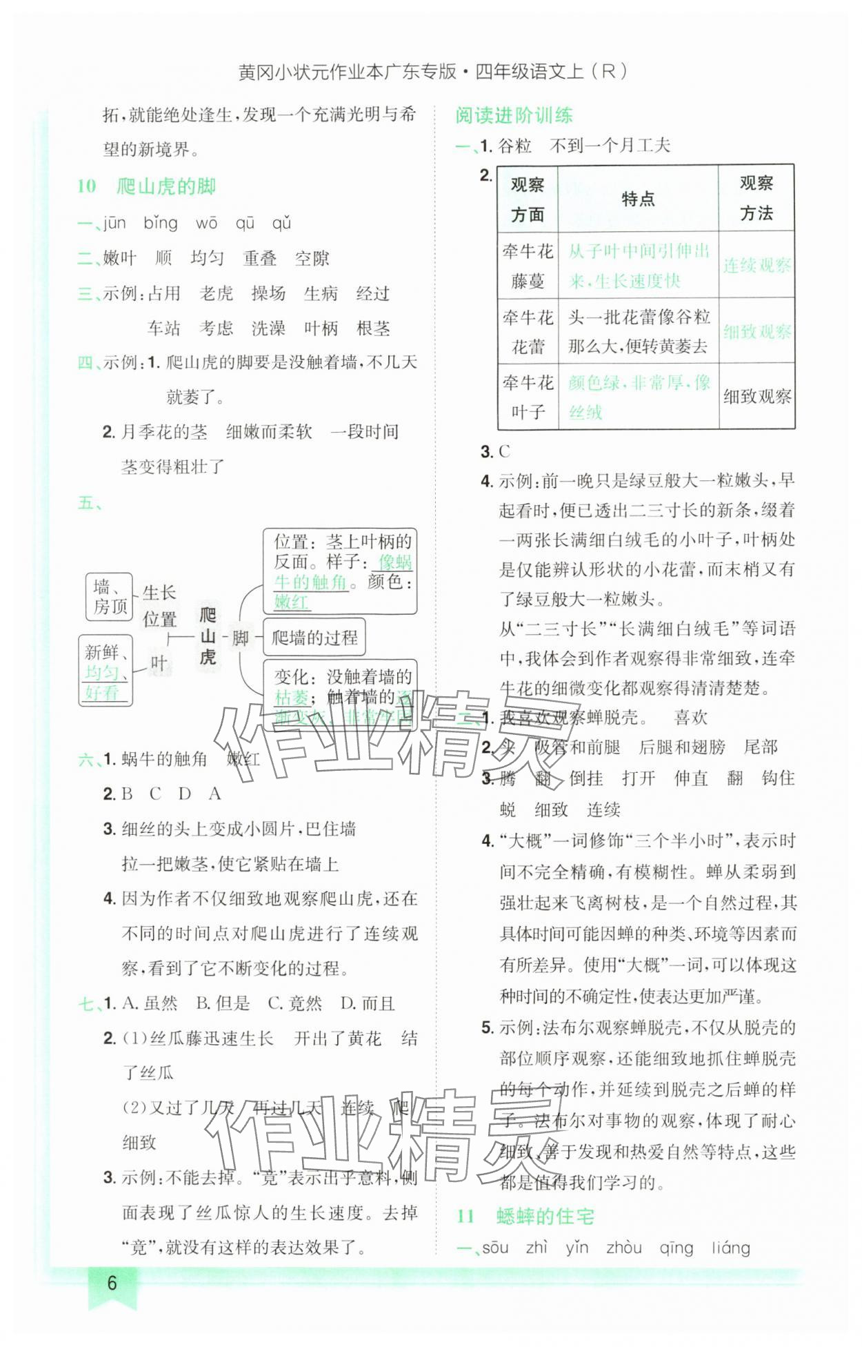 2024年黄冈小状元作业本四年级语文上册人教版广东专版 参考答案第6页