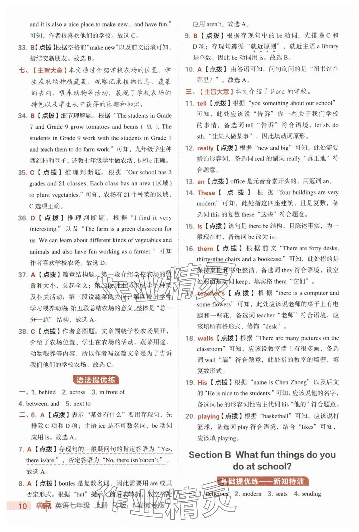 2025年综合应用创新题典中点七年级英语上册人教版安徽专版 参考答案第10页