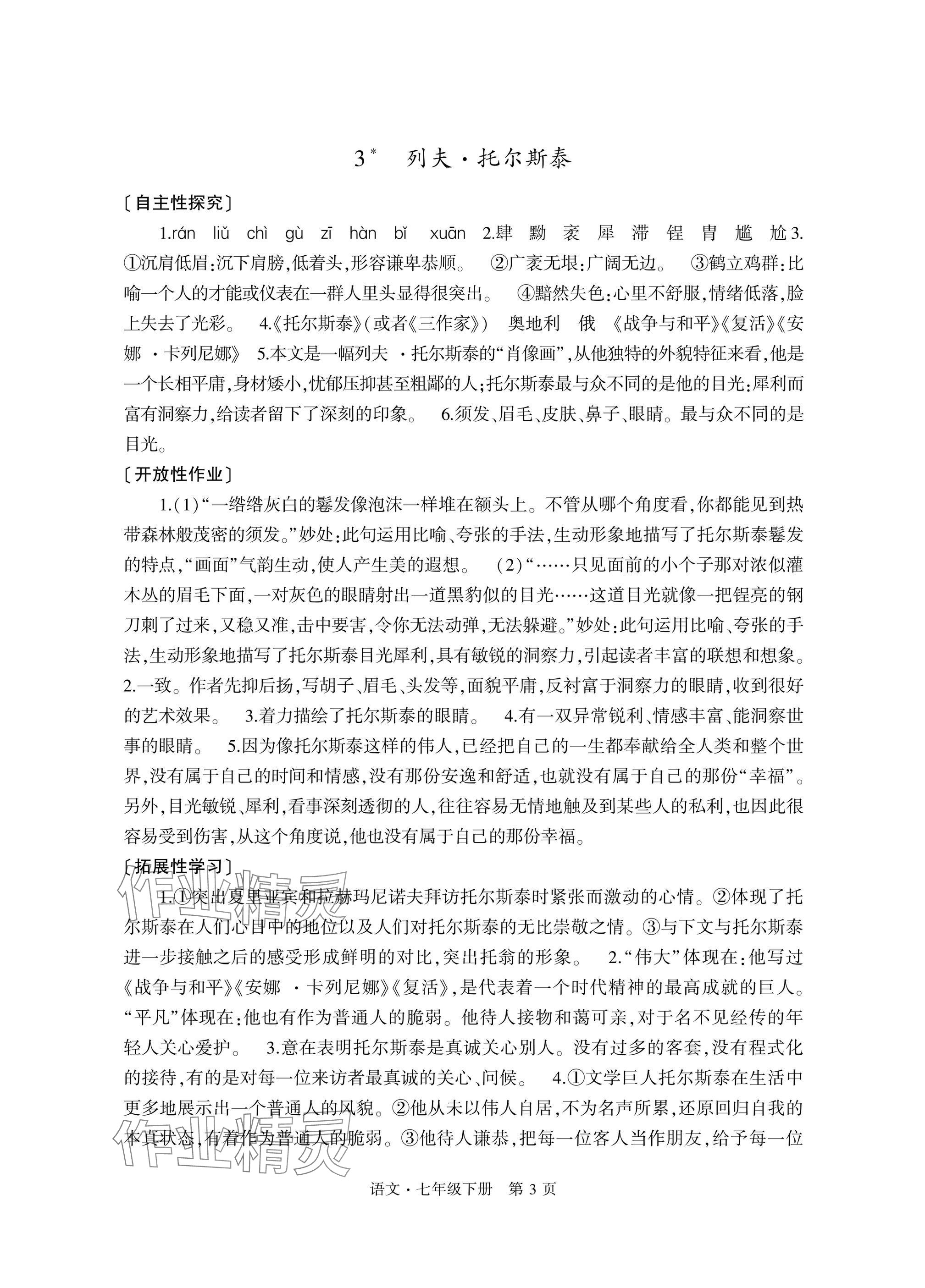 2025年自主學習指導課程與測試七年級語文下冊人教版 參考答案第3頁