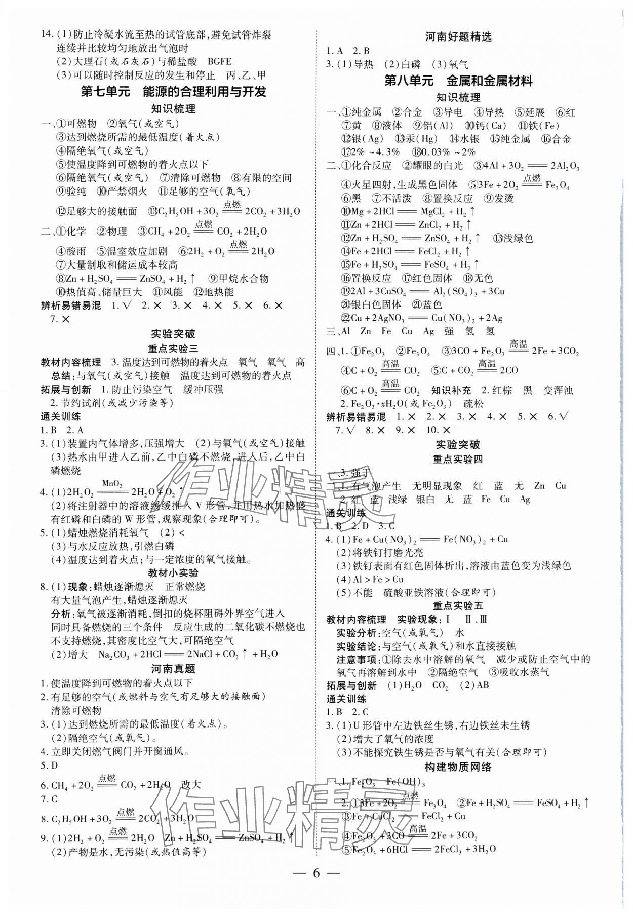 2025年领跑中考化学河南专版 第6页