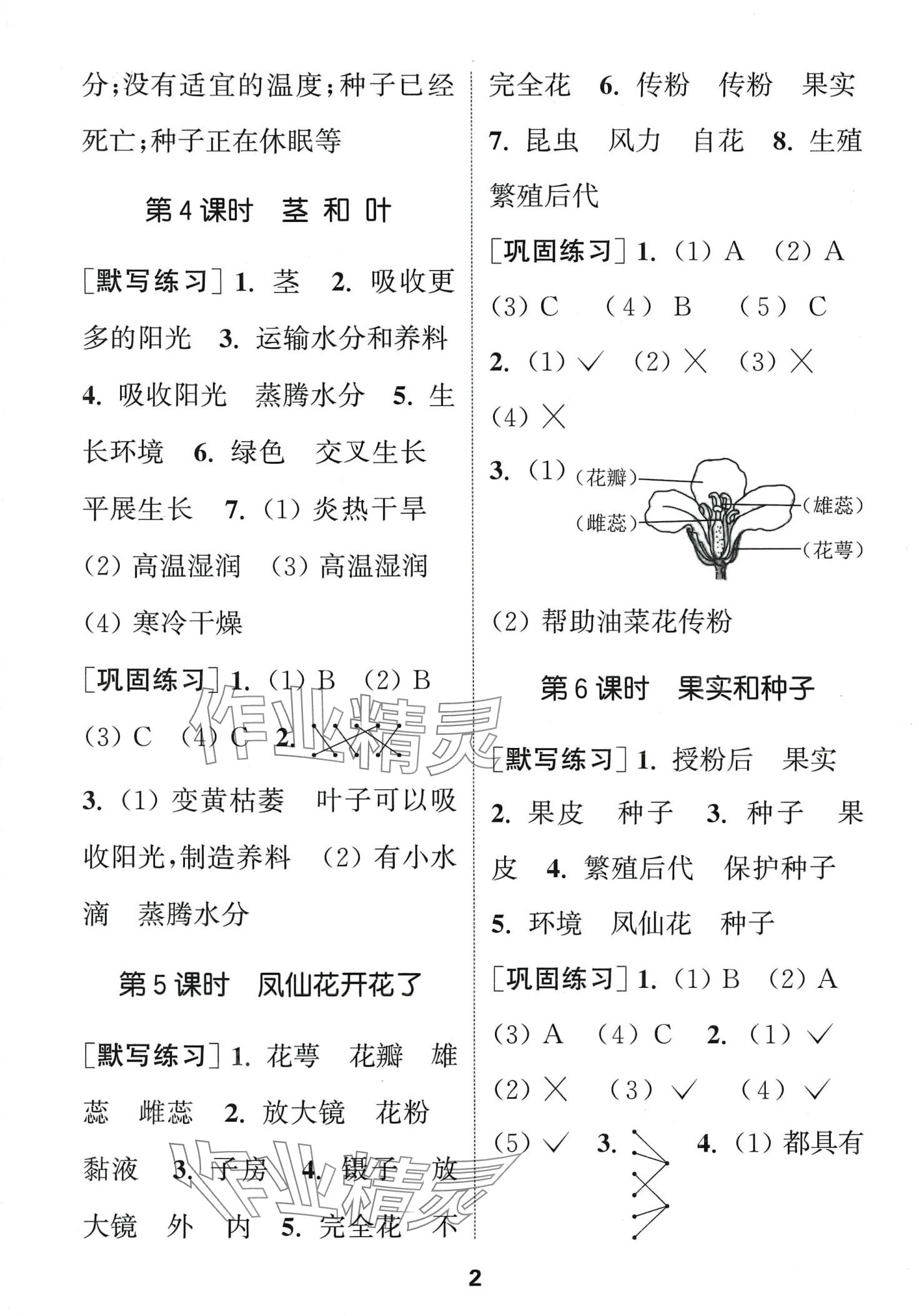 2024年通城學(xué)典默寫能手四年級(jí)科學(xué)下冊(cè)教科版 第2頁