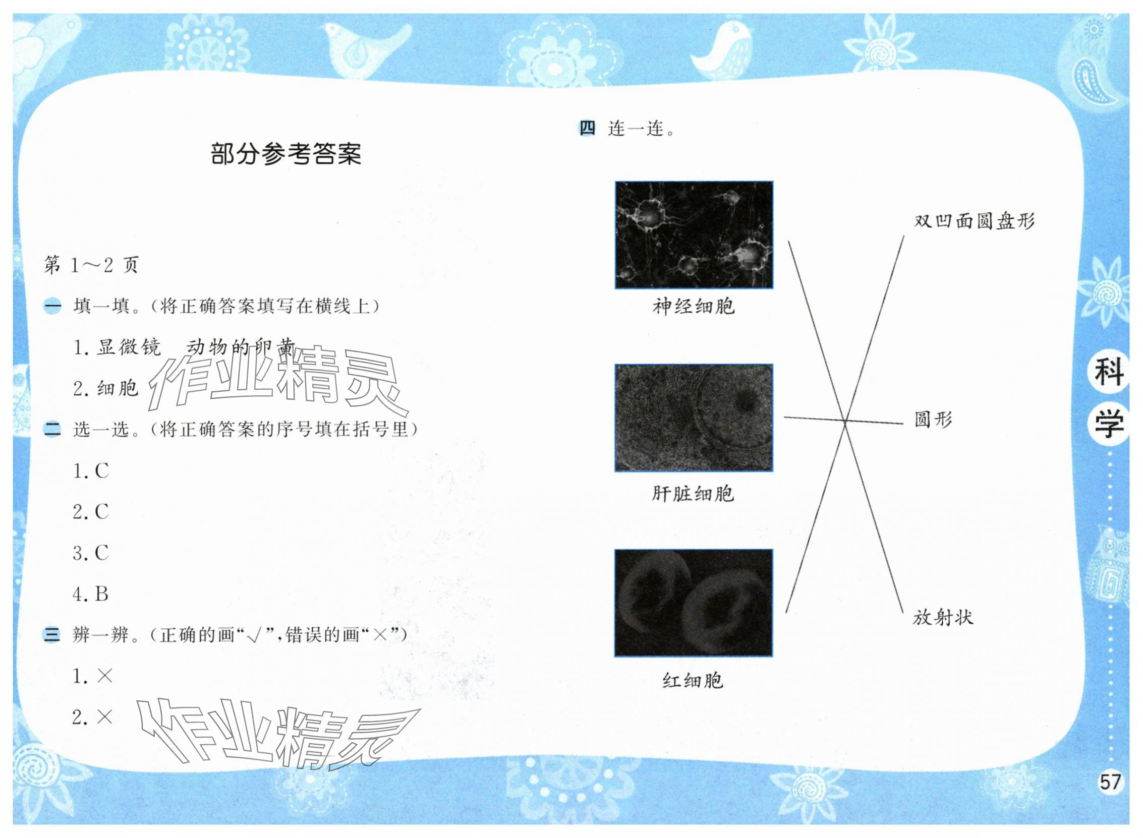 2025年暑假作業(yè)五年級科學蘇教版安徽少年兒童出版社 第1頁