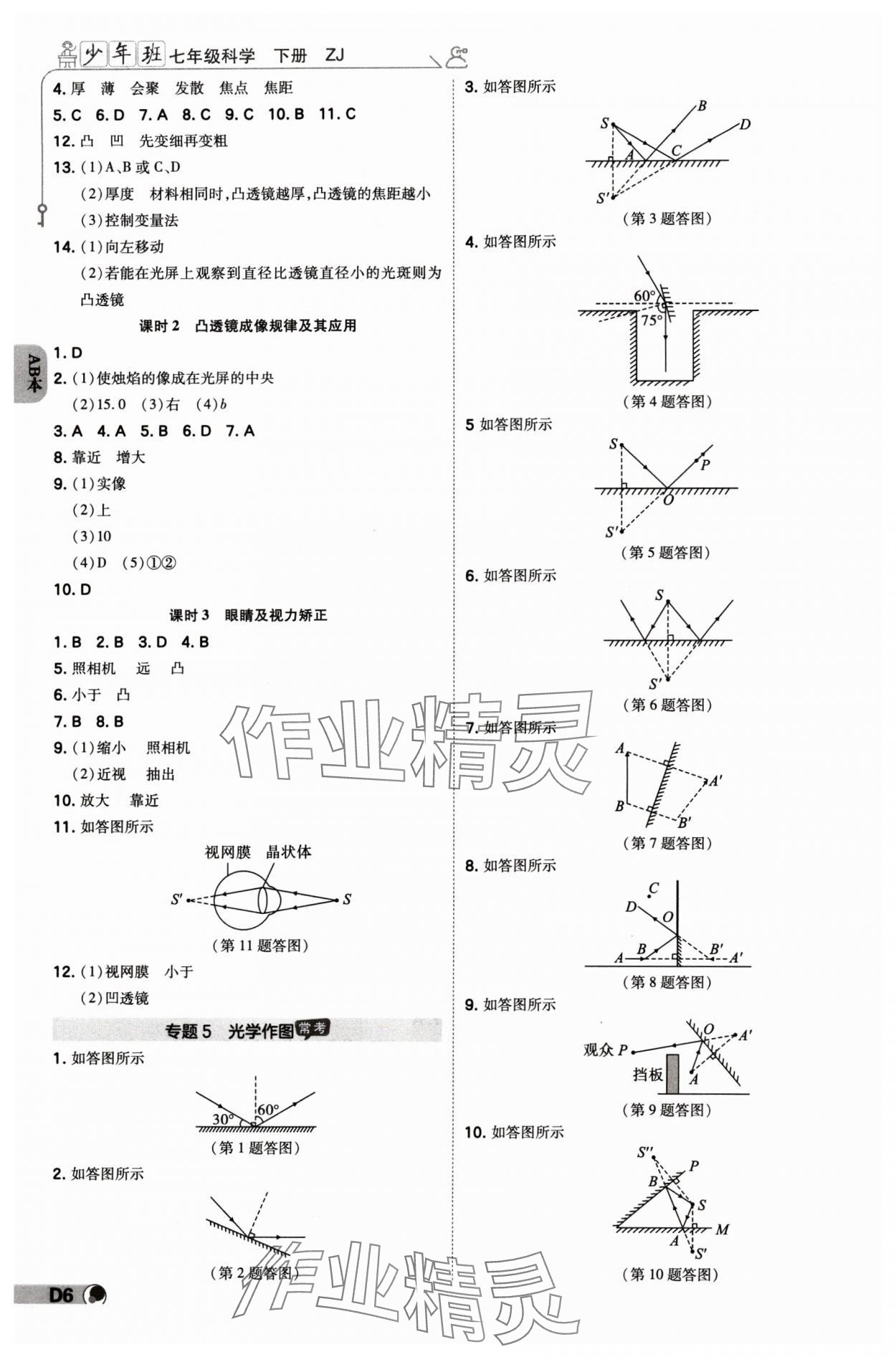 2024年少年班七年級科學(xué)下冊浙教版浙江專版 參考答案第5頁