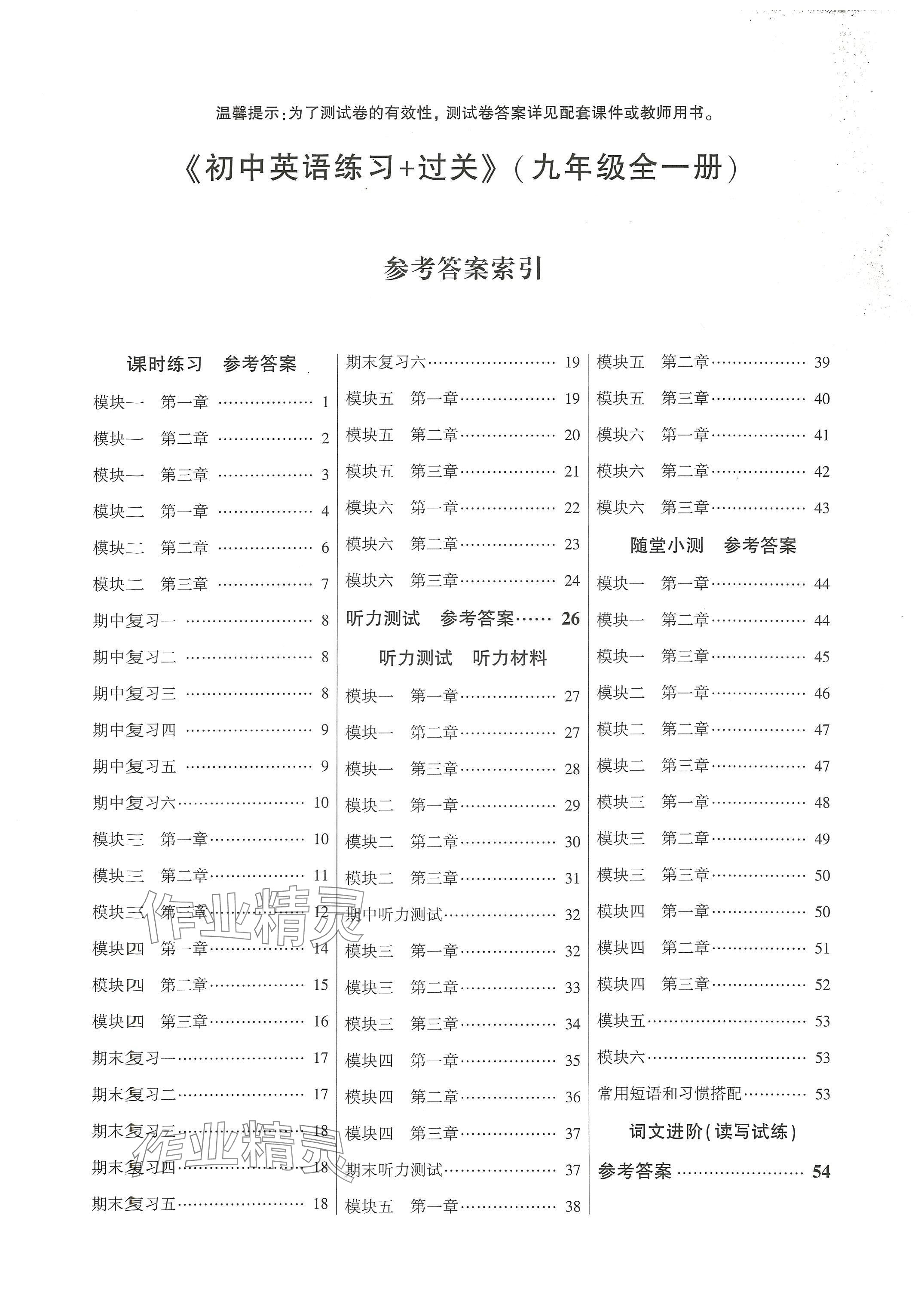 2024年练习加过关九年级英语全一册仁爱版 第1页