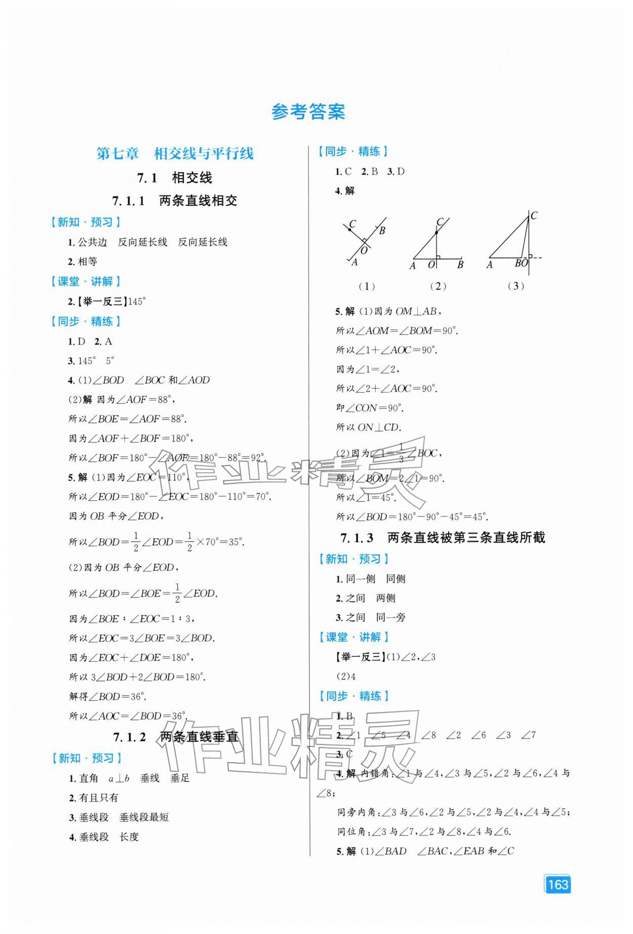 2026年同步全效学案七年级数学下册人教版&nbsp;第1页