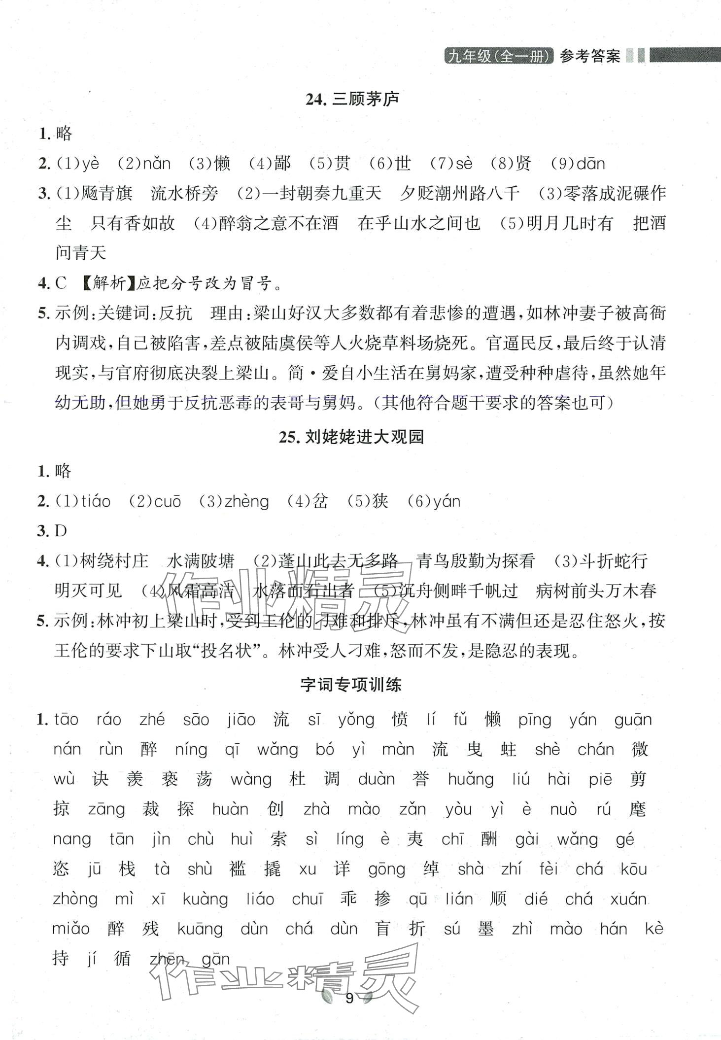 2023年點石成金金牌奪冠九年級語文全一冊人教版遼寧專版 第9頁