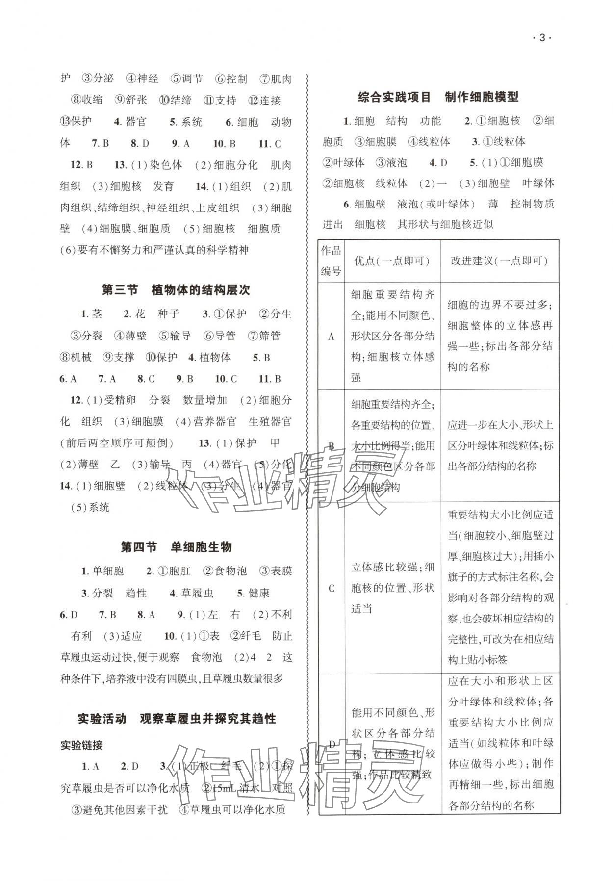 2025年基础训练大象出版社七年级生物上册人教版 参考答案第3页