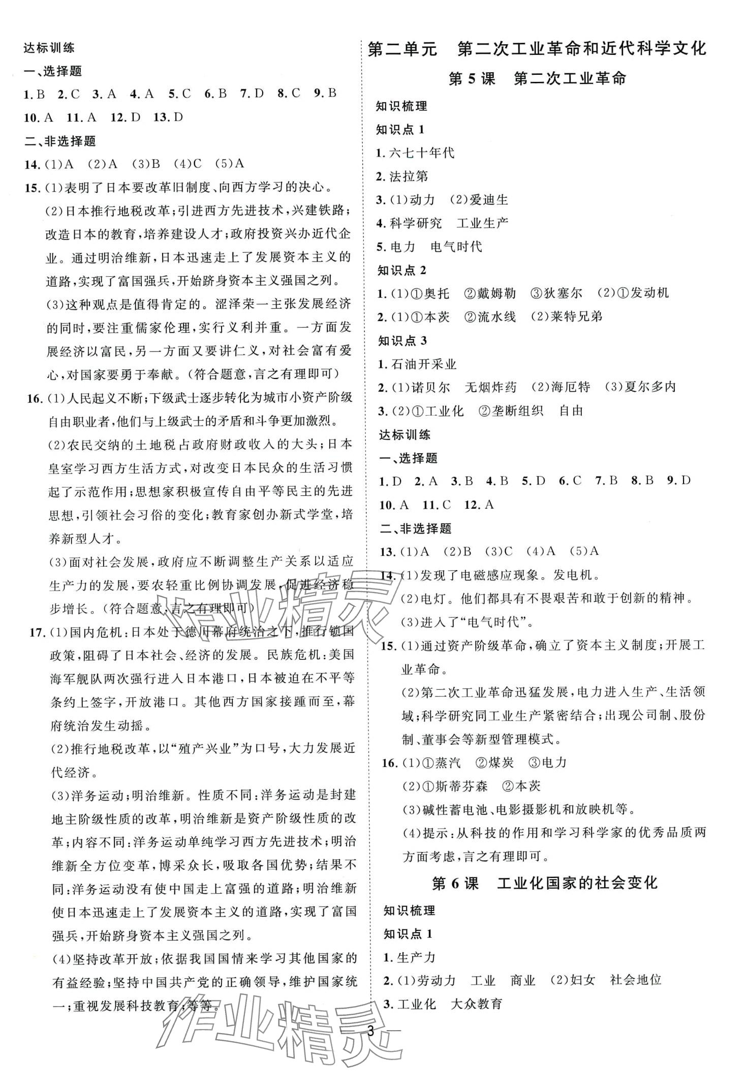 2024年名師課堂南方出版社九年級歷史下冊人教版 第3頁