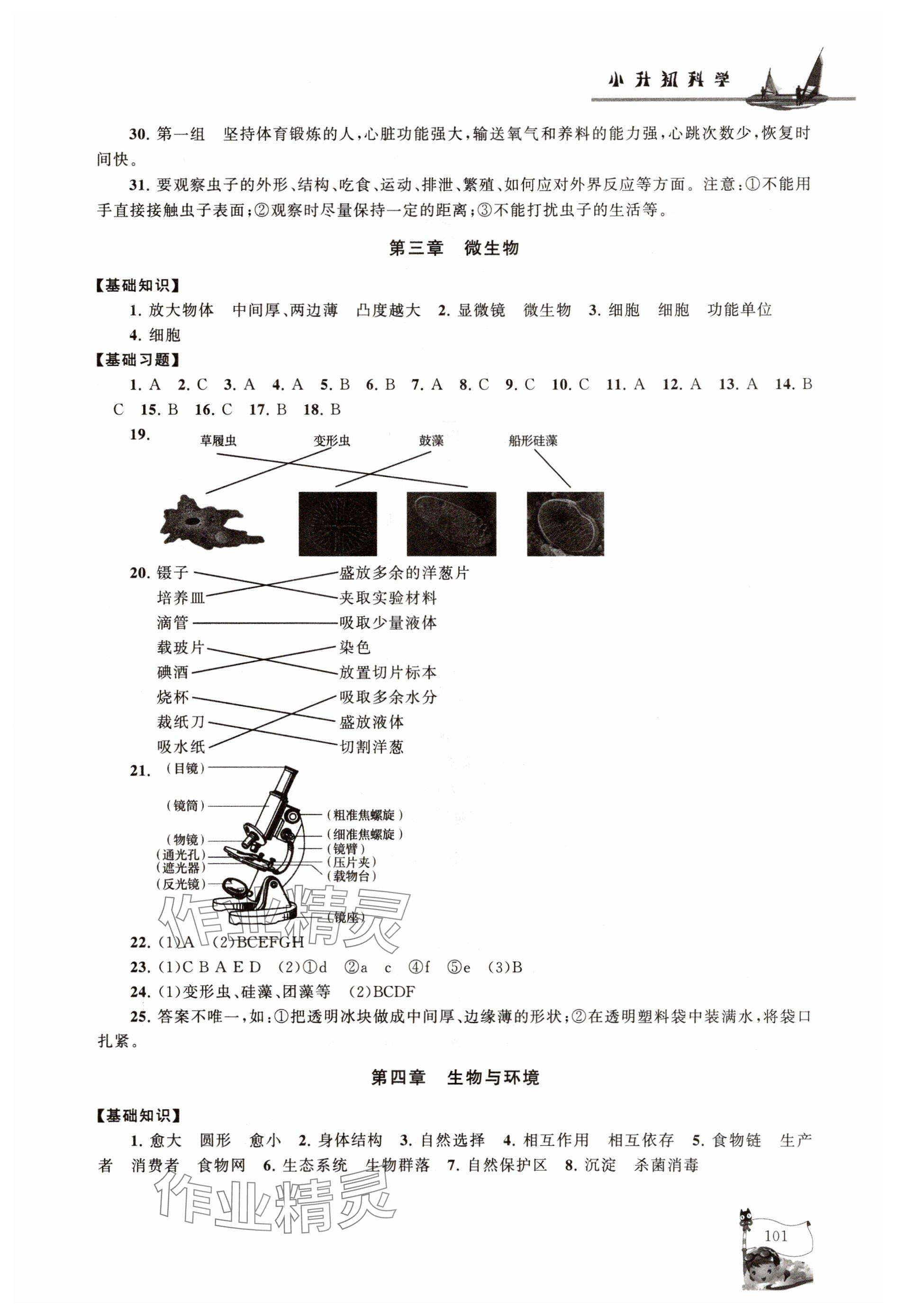 2025年暑假大串聯(lián)六年級科學教科版 參考答案第4頁