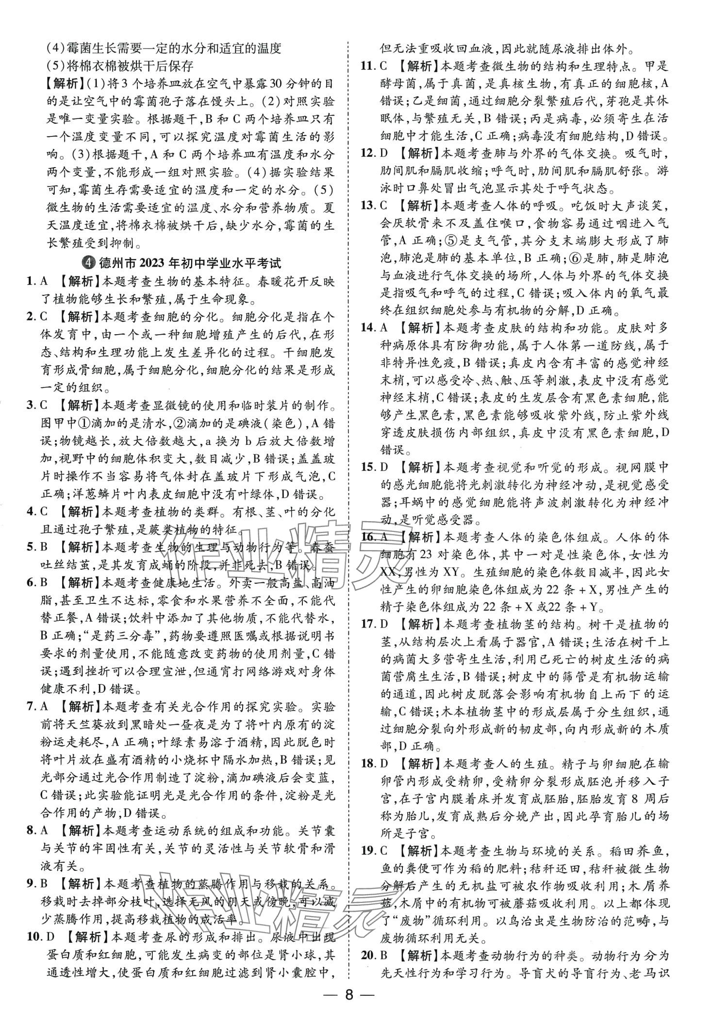 2024年鲁人泰斗中考必备中考试题汇编生物中考山东专版&nbsp;第8页