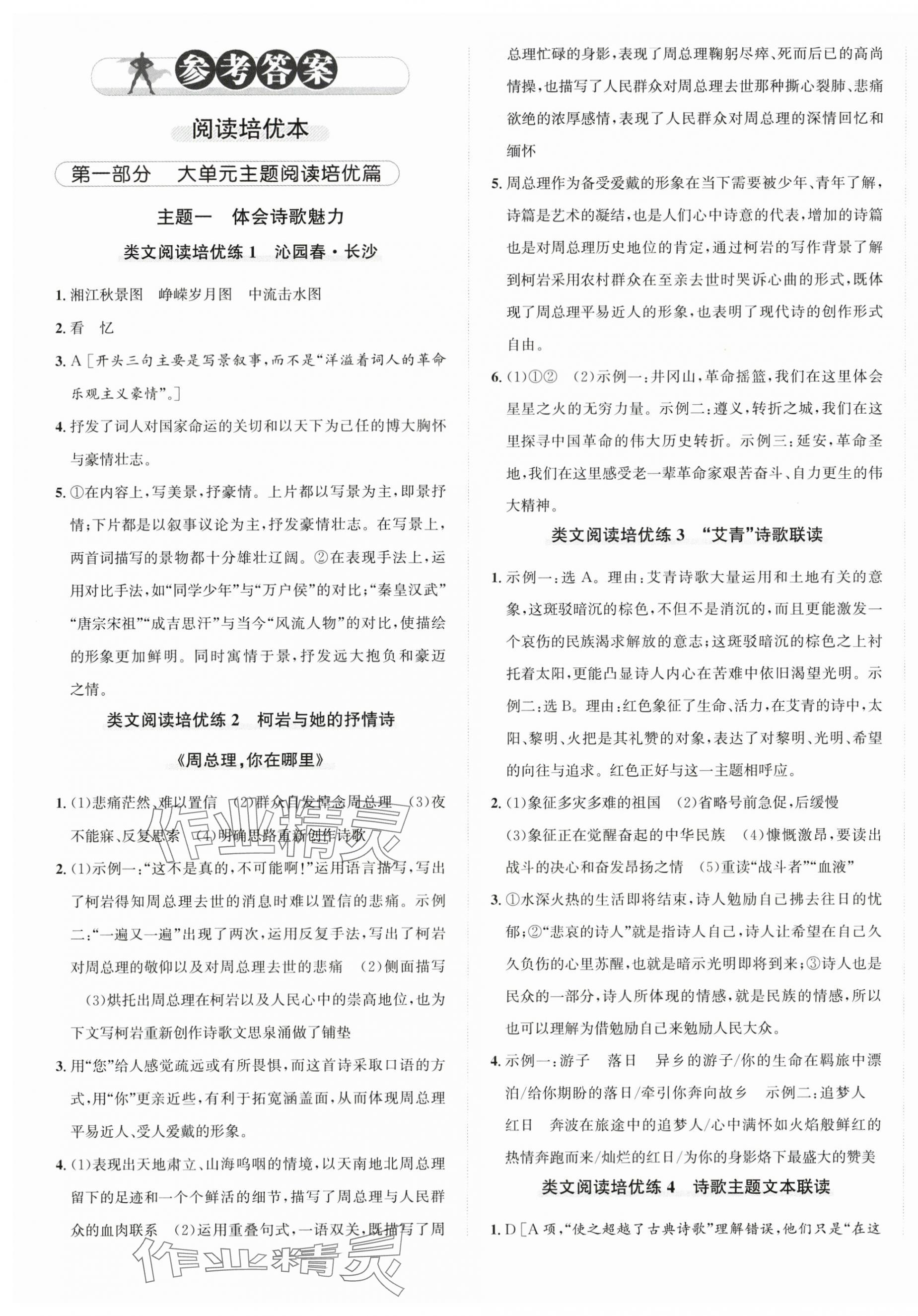2025年优加攻略九年级语文全一册人教版 第1页