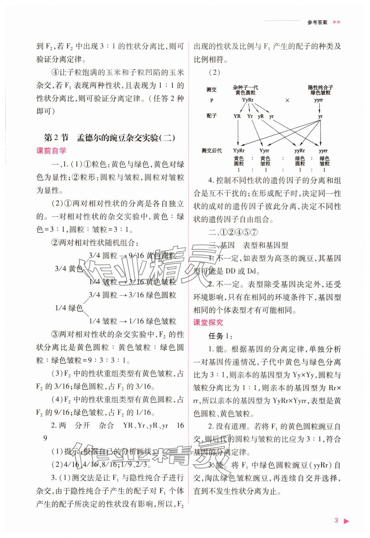 2025年普通高中同步練習(xí)冊高中生物必修2人教版 參考答案第3頁