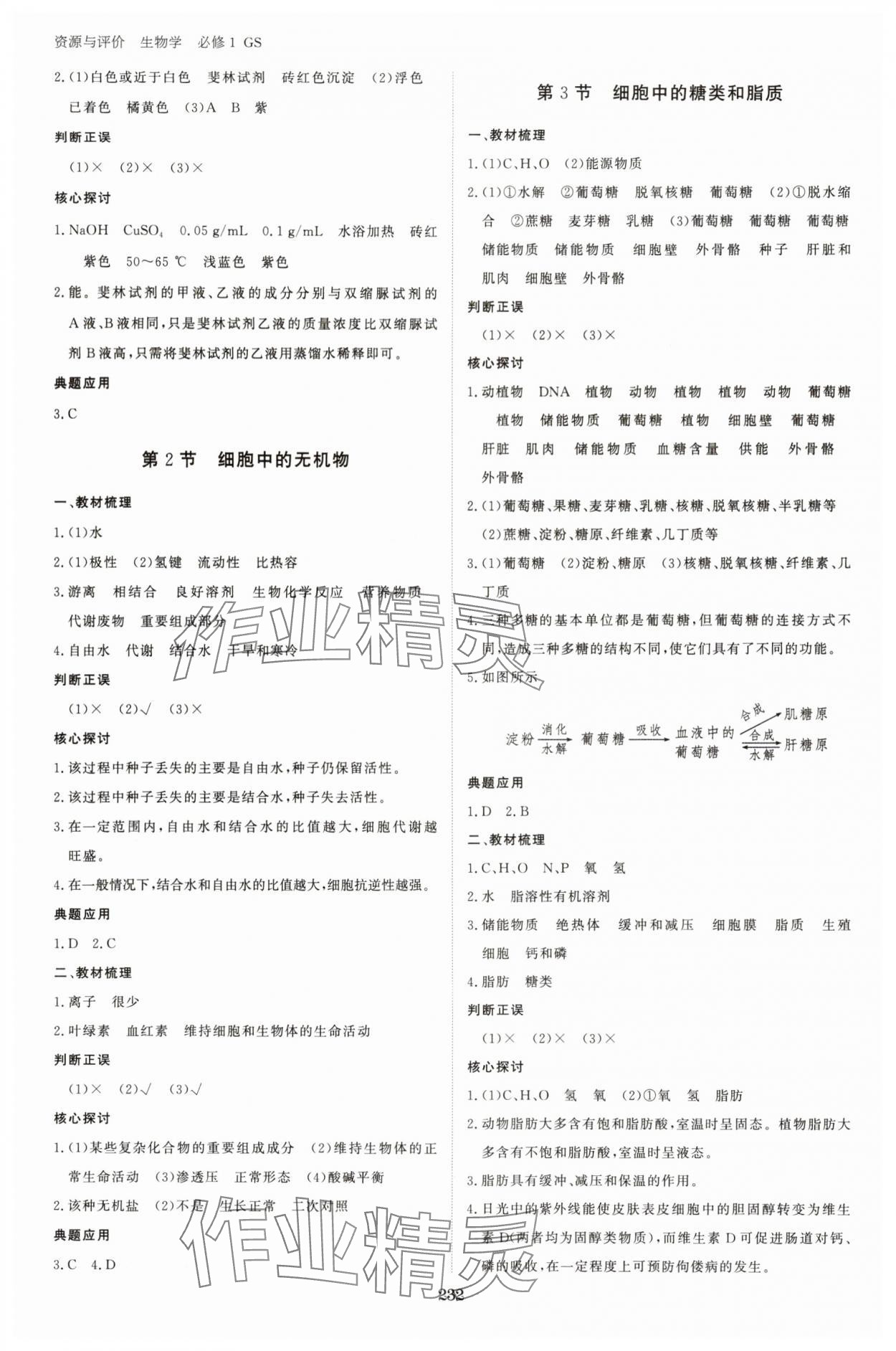 2025年資源與評價黑龍江教育出版社高中生物必修1人教版&nbsp;參考答案第3頁