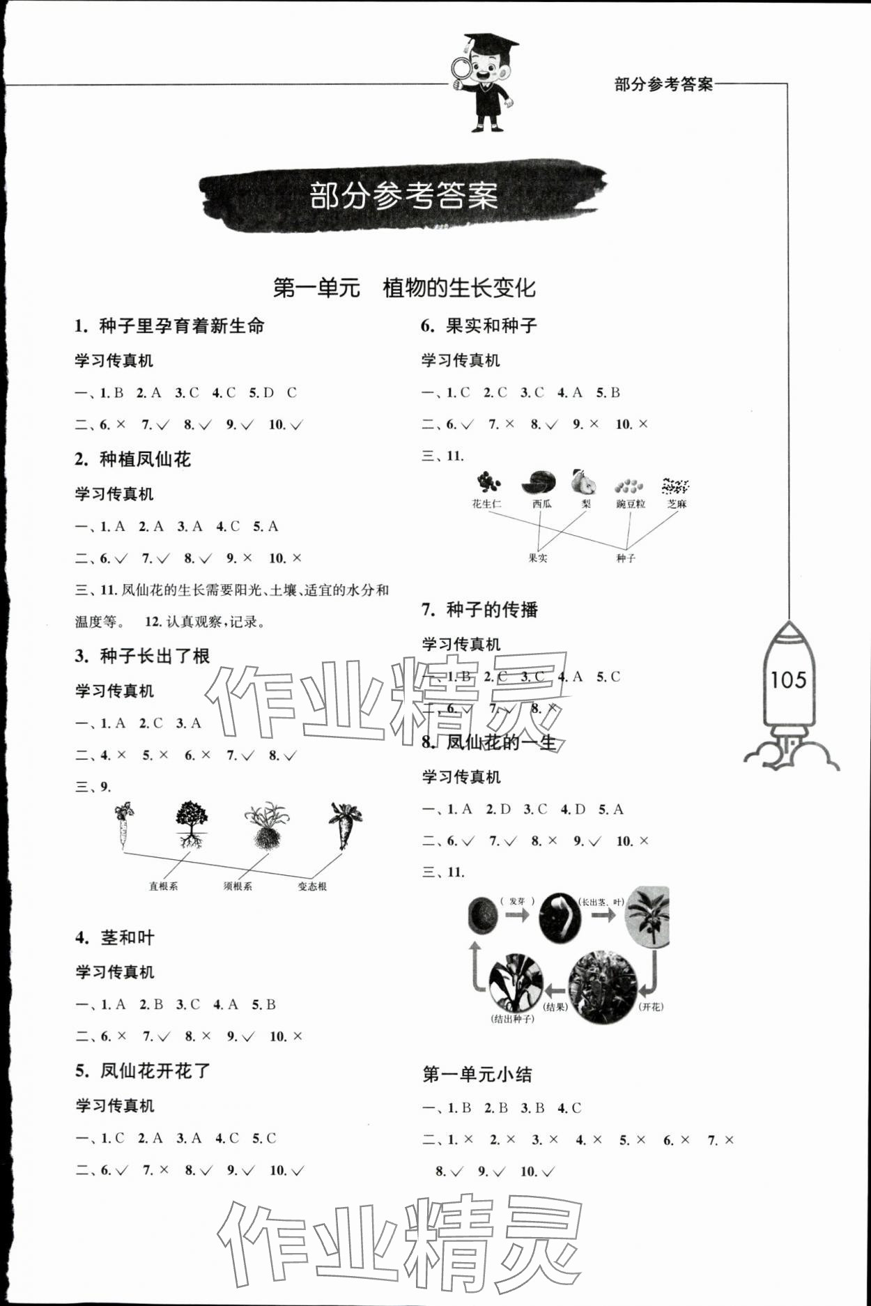 2024年小學科學習作四年級下冊教科版 第1頁