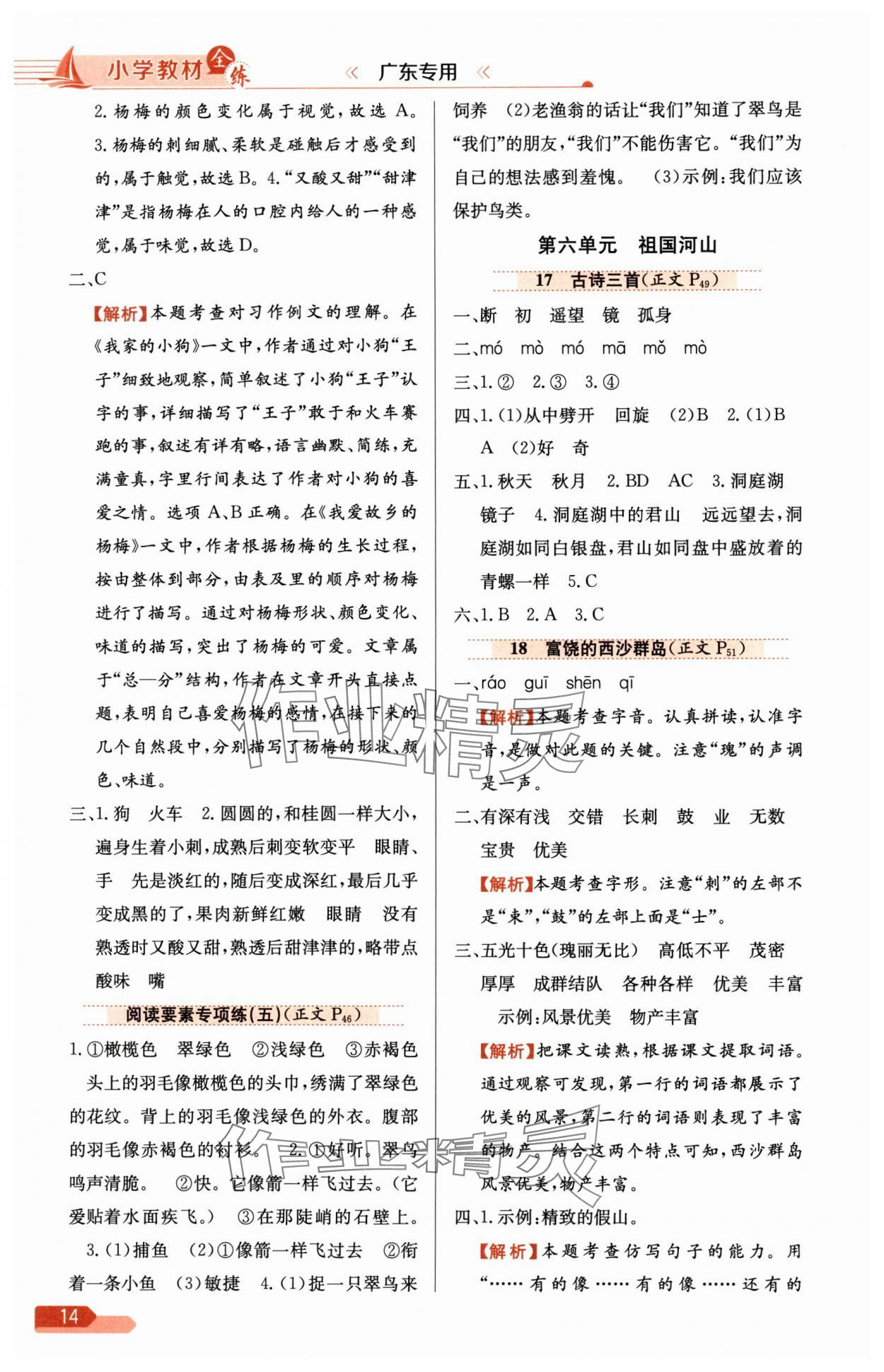 2024年教材全練三年級(jí)語文上冊(cè)人教版廣東專版 參考答案第14頁