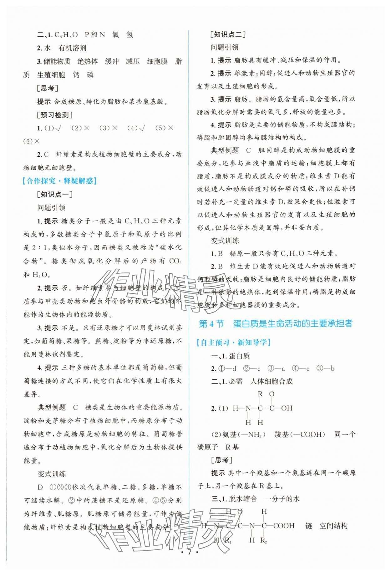 2025年高中同步測控優(yōu)化設(shè)計（分子與細胞）高中生物必修1人教版增強版 參考答案第6頁