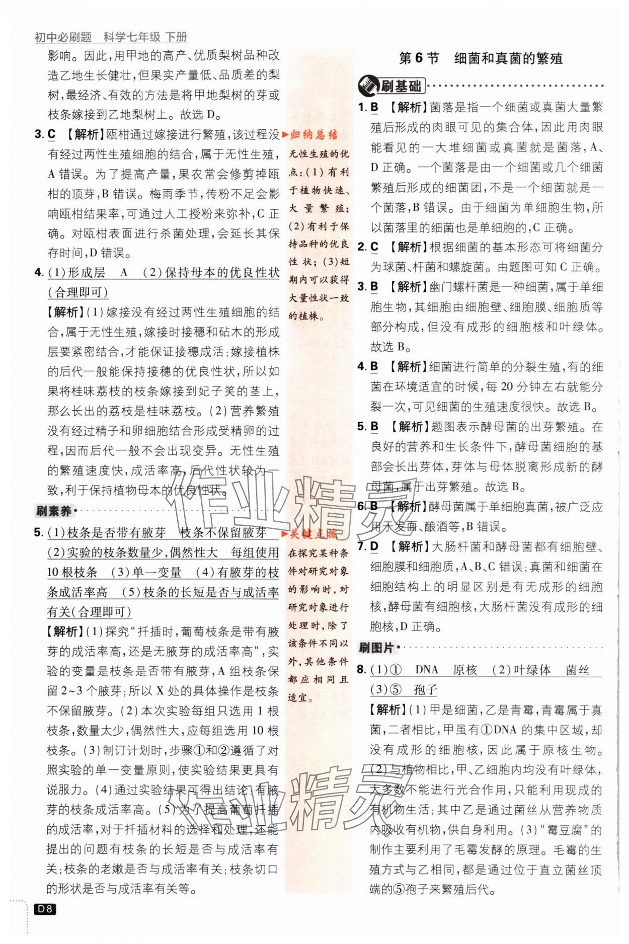 2024年初中必刷題七年級科學(xué)下冊浙教版浙江專版 第8頁