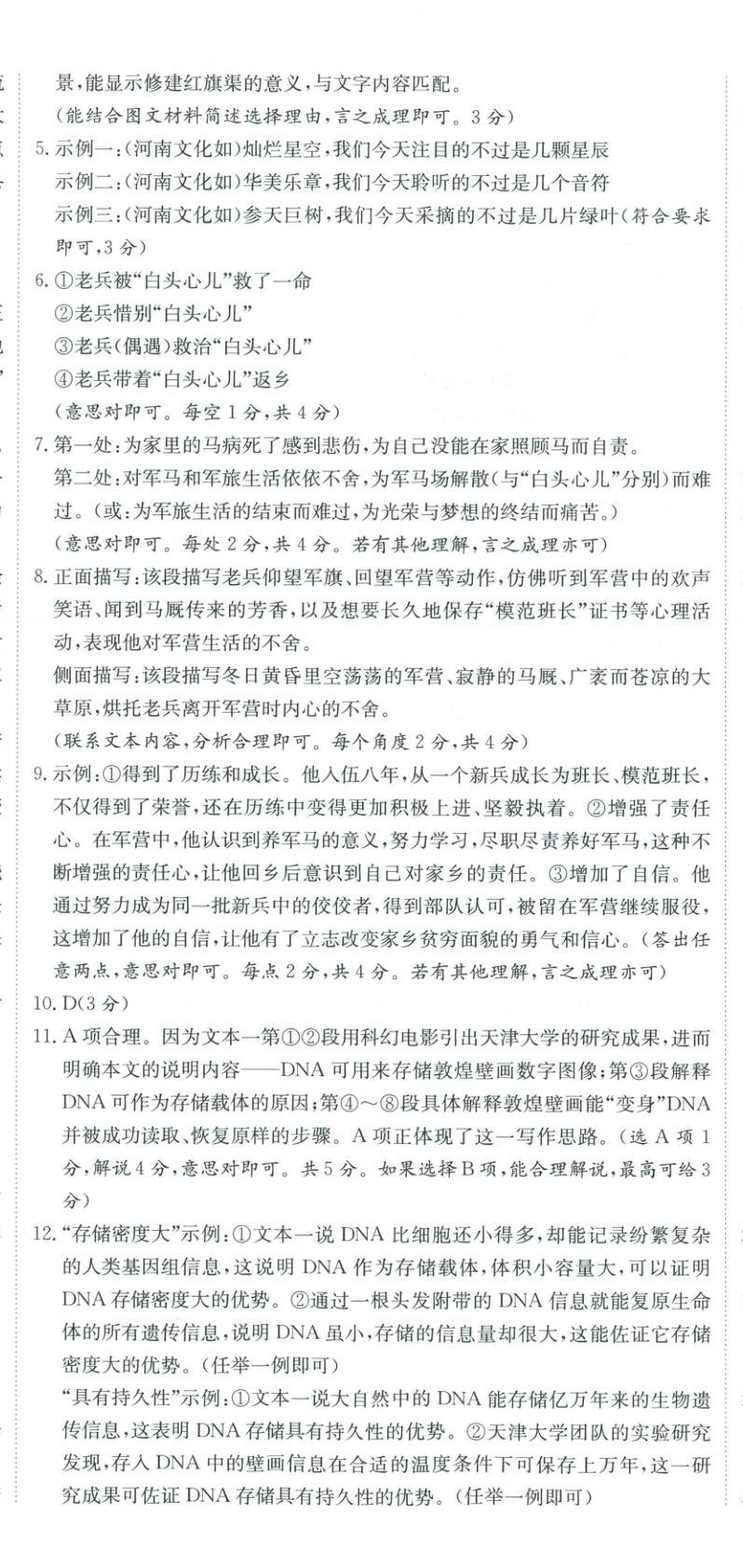 2025年河南省中考试题汇编精选31套语文河南专版 第5页