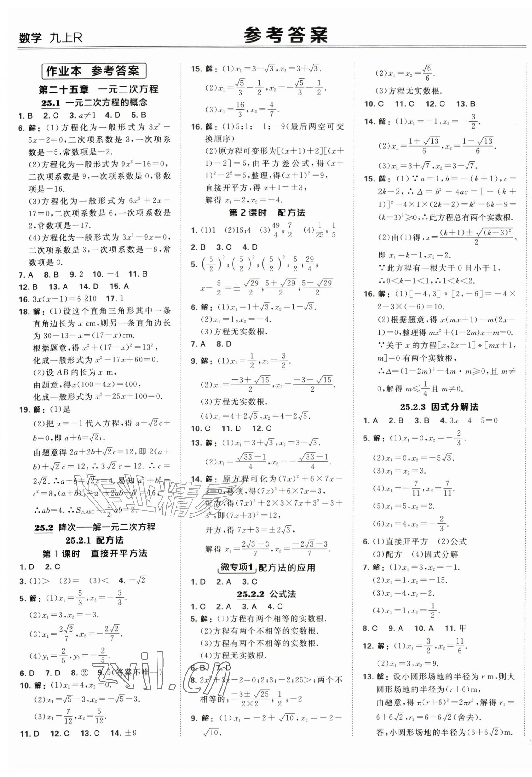 2026年点拨训练九年级数学上册人教版&nbsp;第1页