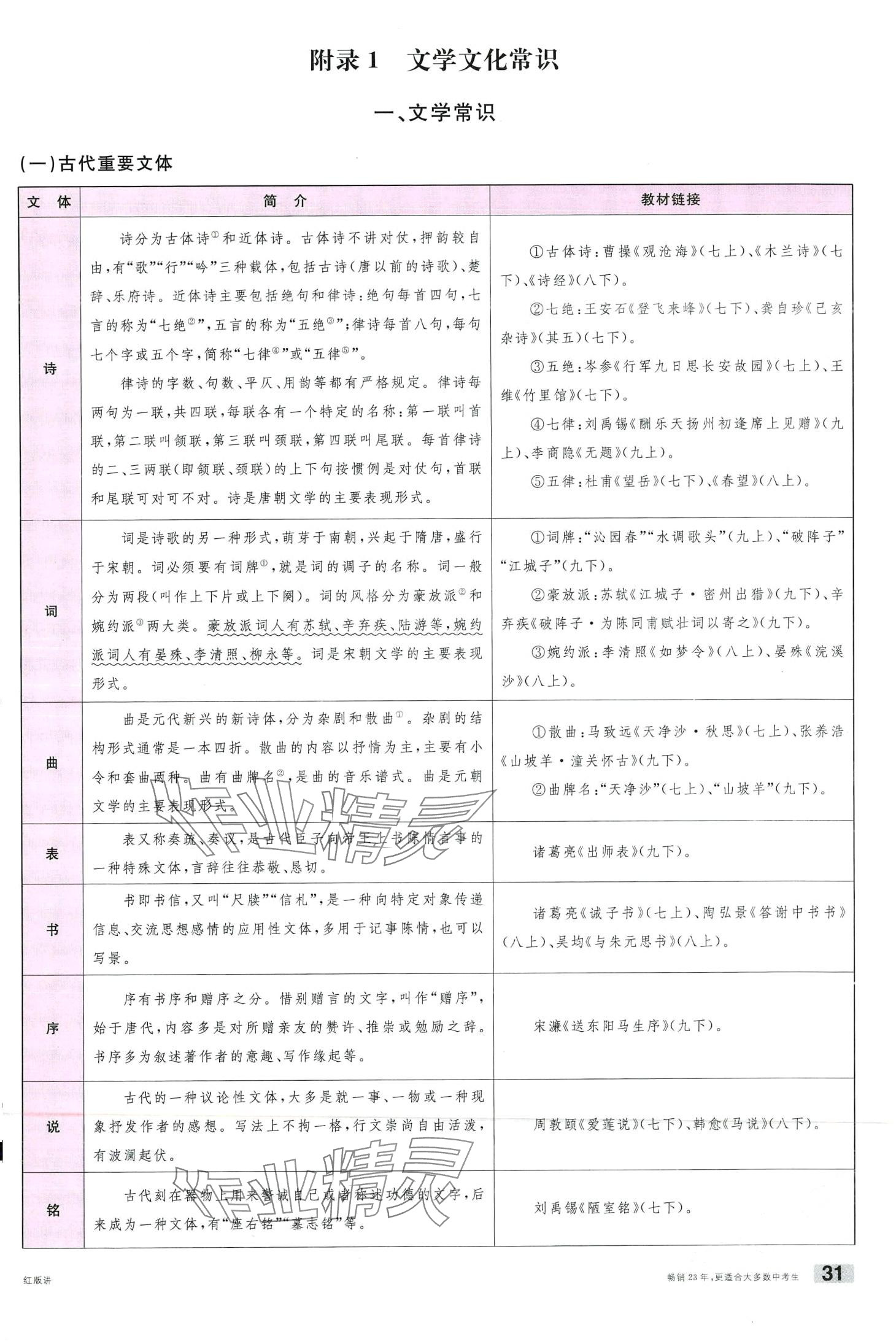 2024年火線100天語文中考云南專版 第31頁