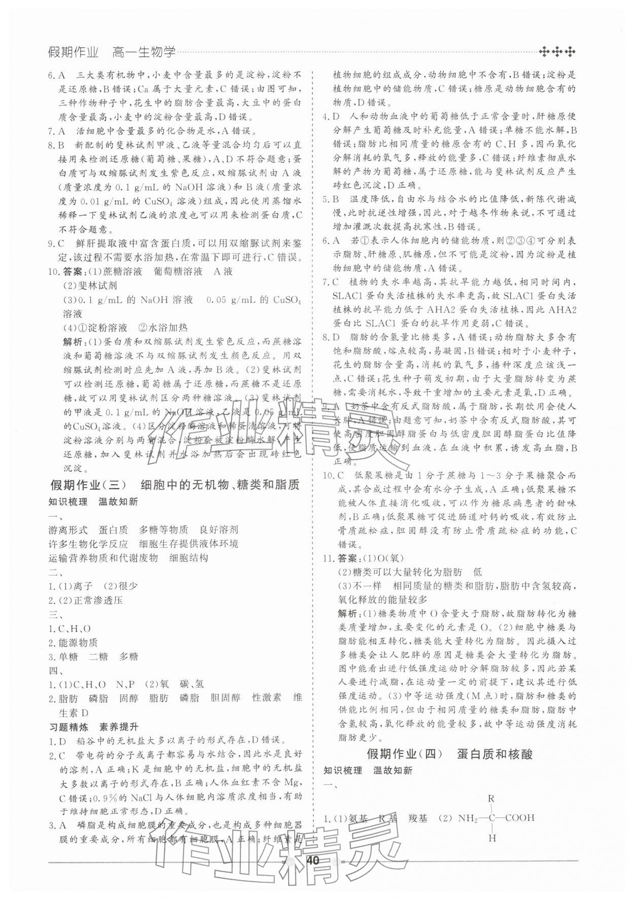 2026年玩转假期黑龙江美术出版社高一生物&nbsp;第2页