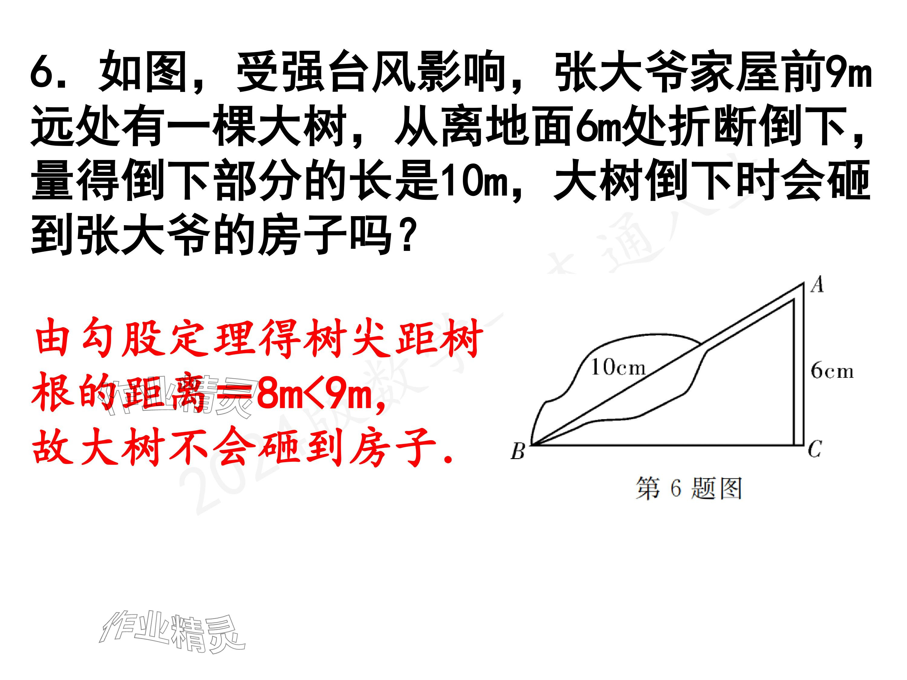 2024年一本通武漢出版社八年級(jí)數(shù)學(xué)上冊(cè)北師大版精簡(jiǎn)版 參考答案第6頁