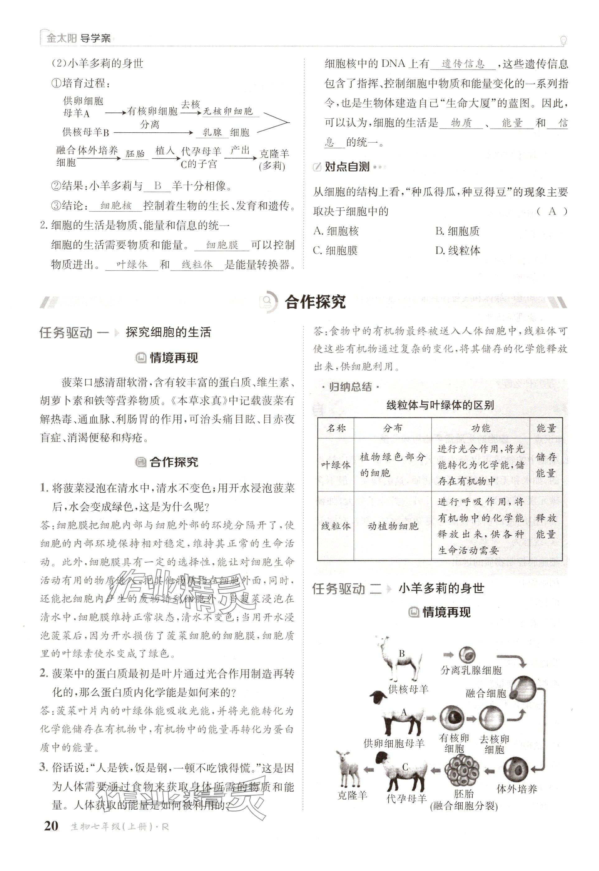 2024年金太陽導(dǎo)學(xué)案七年級生物上冊人教版 參考答案第20頁