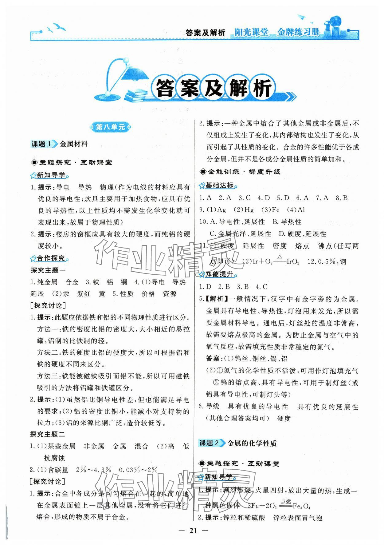 2024年阳光课堂金牌练习册九年级化学下册人教版 第1页