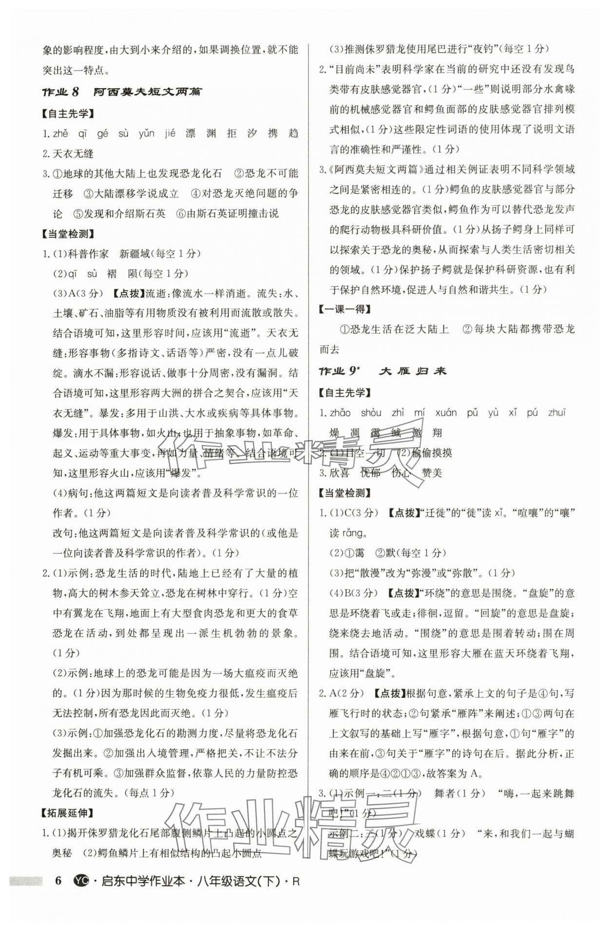 2025年启东中学作业本八年级语文下册人教版盐城专版 参考答案第6页